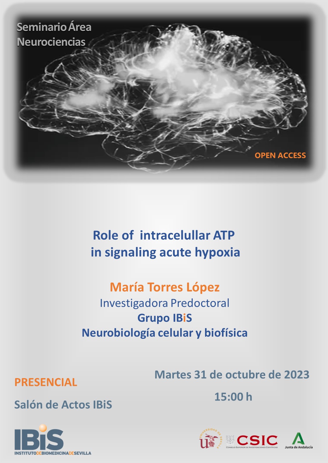 Poster: Role of intracelullar ATP in signaling acute hypoxia