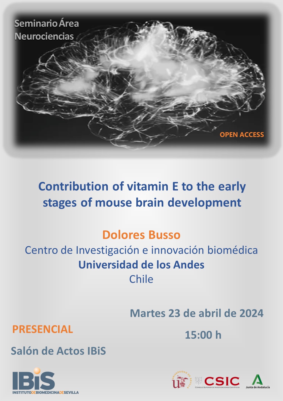 Poster: Contribution of vitamin E to the early stages of mouse brain development