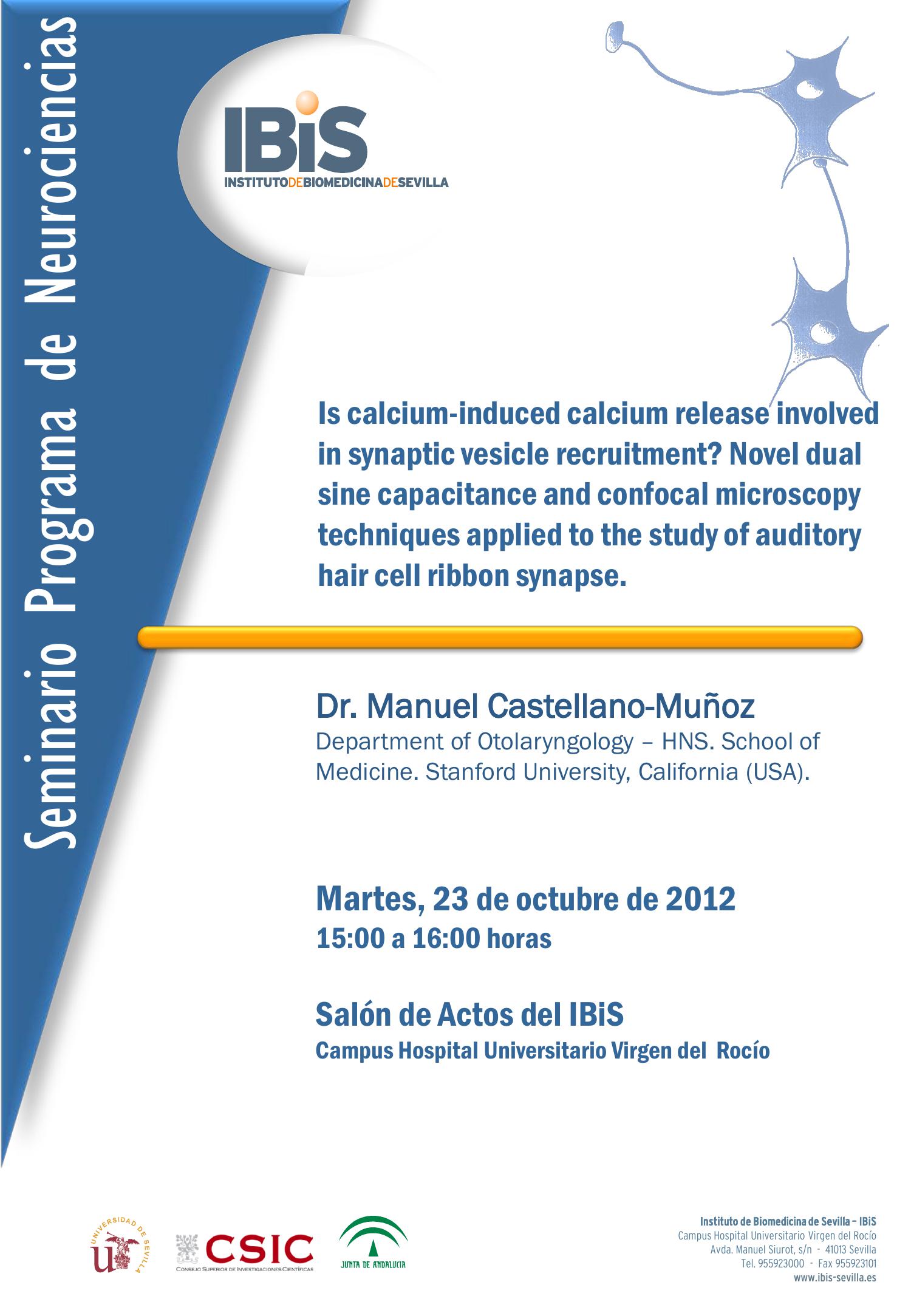 Poster: Is calcium-induced calcium release involved in synaptic vesicle recruitment? Novel dual sine capacitance and confocal microscopy techniques applied to the study of auditory hair cell ribbon synapse.
