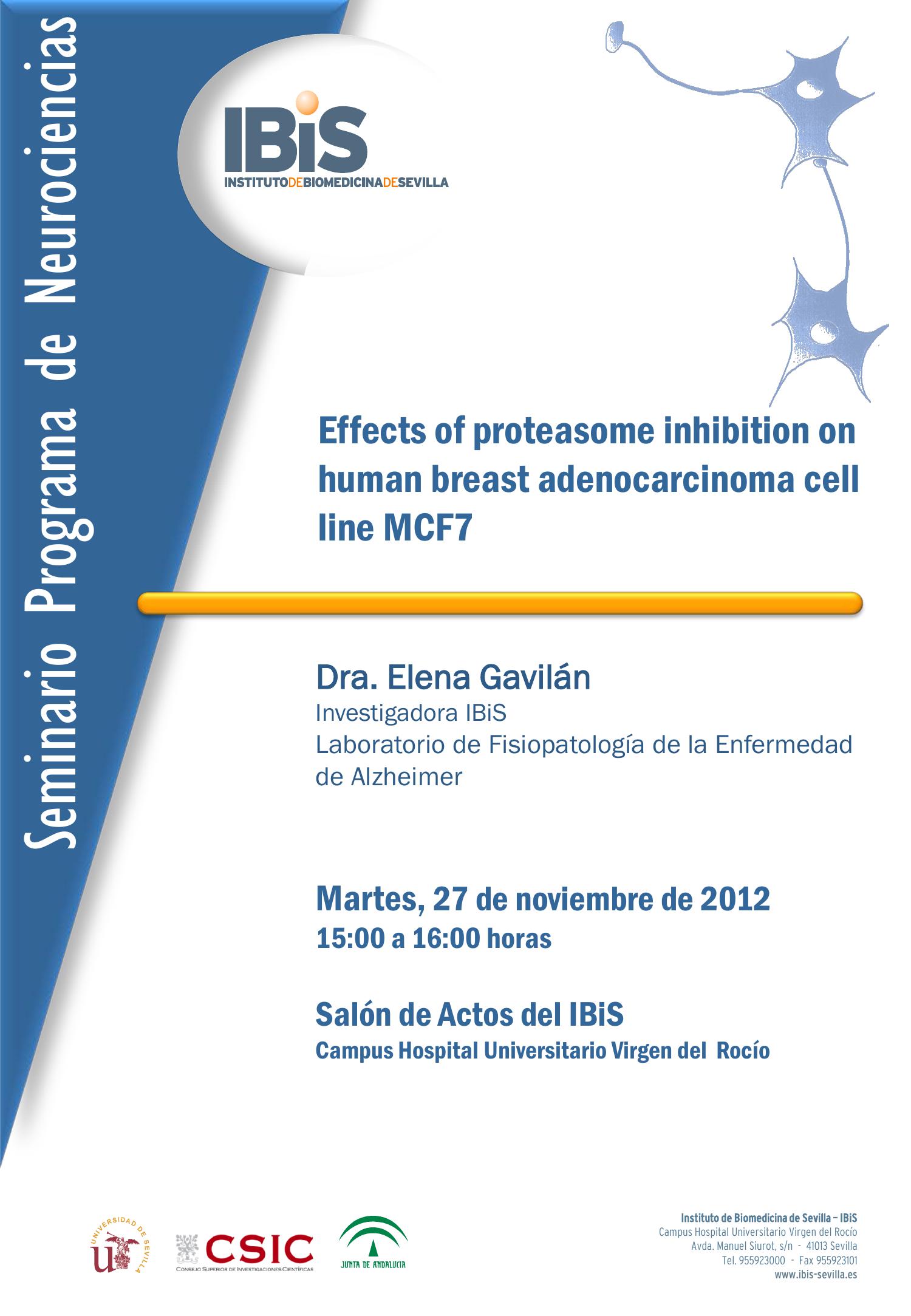 Poster: Effects of proteasome inhibition on human breast adenocarcinoma cell line MCF7.