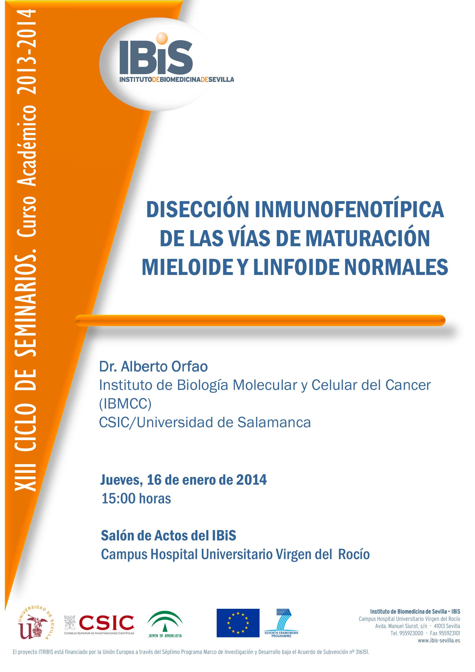 Poster: DISECCIÓN INMUNOFENOTÍPICA DE LAS VÍAS DE MATURACIÓN MIELOIDE Y LINFOIDE NORMALES