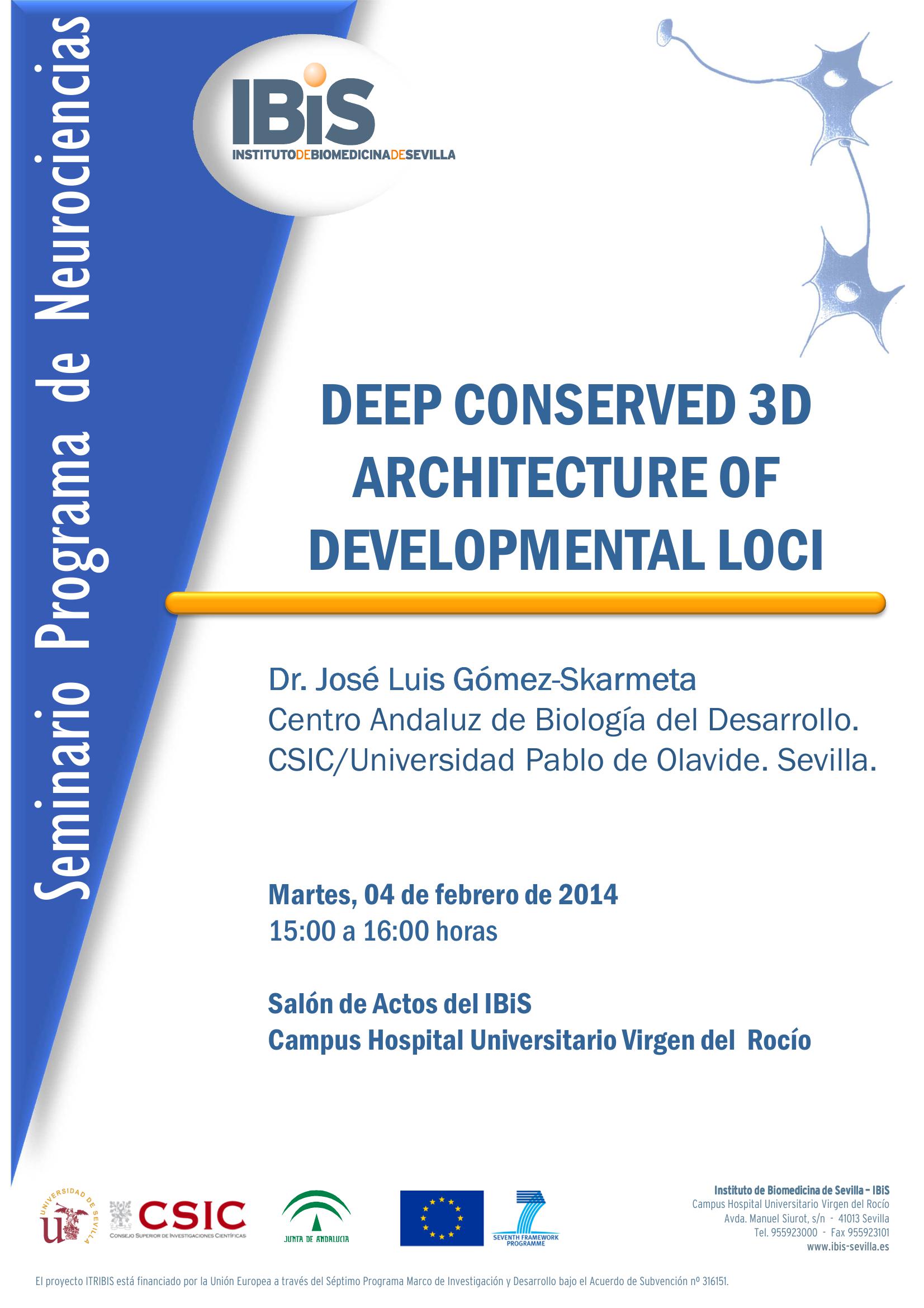 Poster: DEEP CONSERVED 3D ARCHITECTURE OF DEVELOPMENTAL LOCI