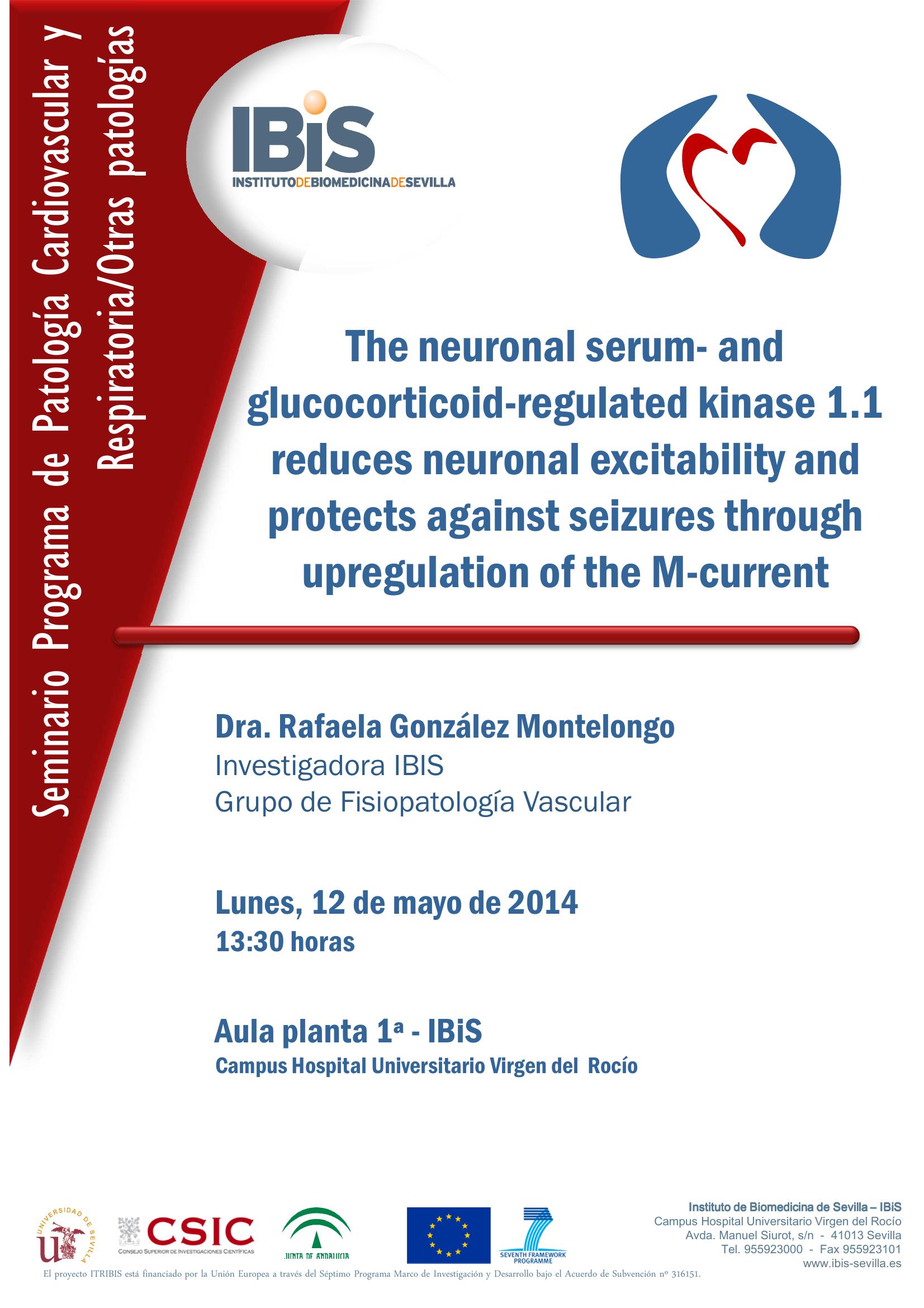 Poster: The neuronal serum- and glucocorticoid-regulated kinase 1.1 reduces neuronal excitability and protects against seizures through upregulation of the M-current