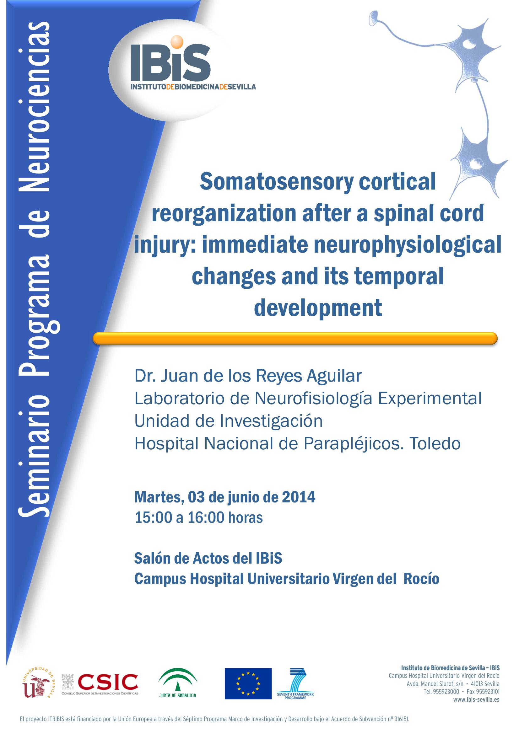 Poster: Somatosensory cortical reorganization after a spinal cord injury: immediate neurophysiological changes and its temporal development