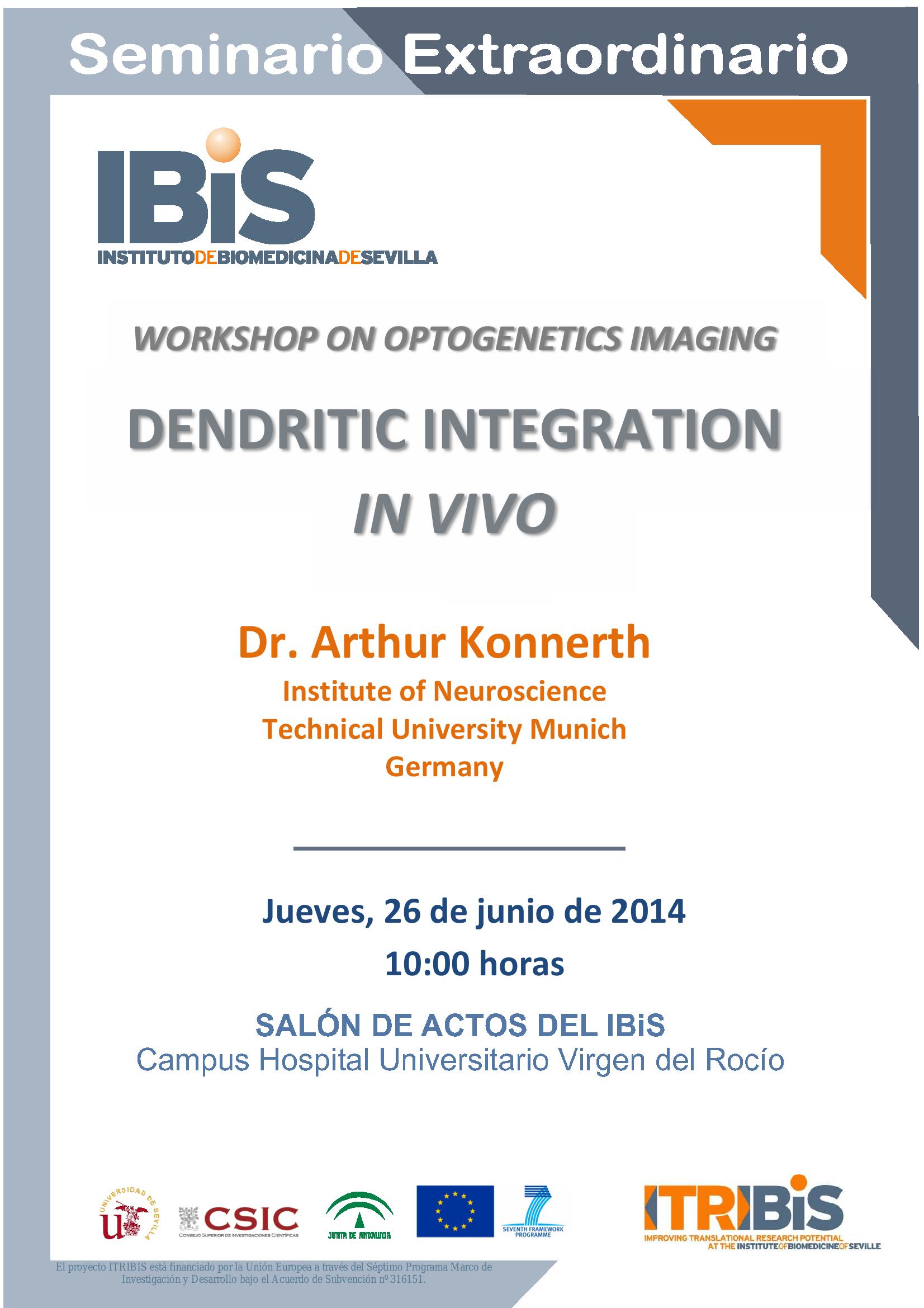 Poster: DENDRITIC INTEGRATION  IN VIVO