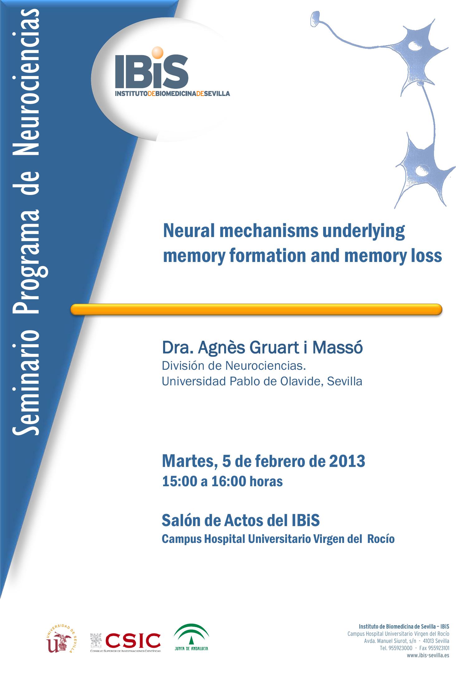 Poster: Neural mechanisms underlying memory formation and memory loss.