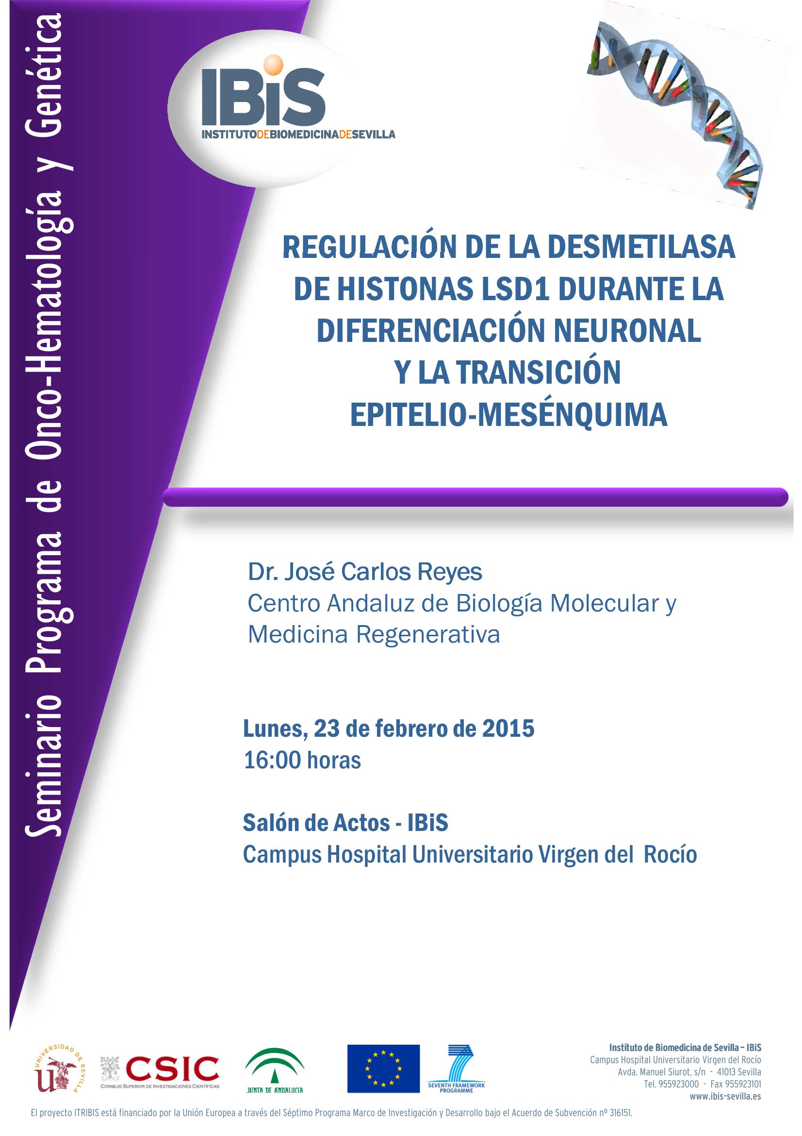 Poster: REGULACIÓN DE LA DESMETILASA DE HISTONAS LSD1 DURANTE LA DIFERENCIACIÓN NEURONAL  Y LA TRANSICIÓN  EPITELIO-MESÉNQUIMA