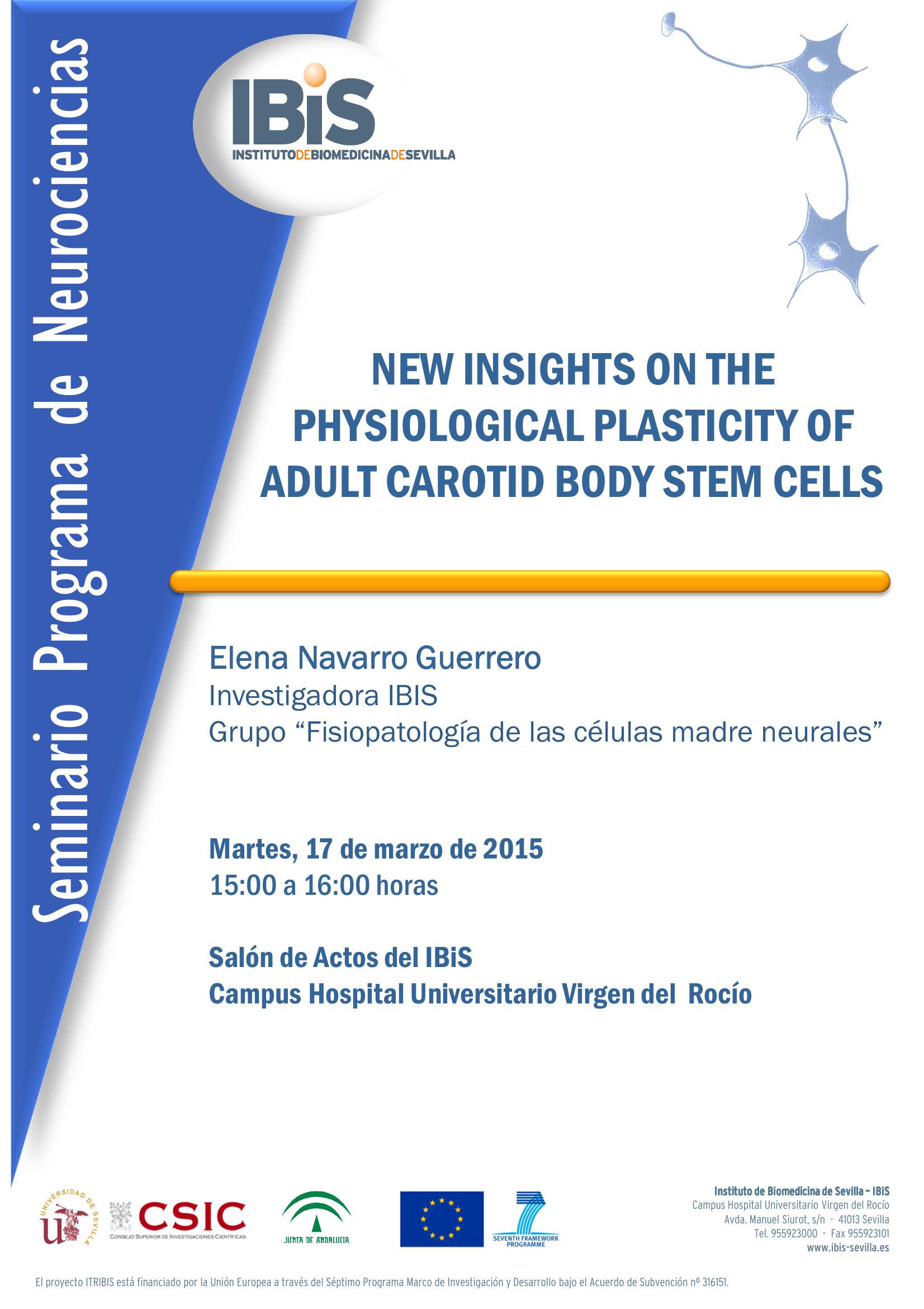 Poster: NEW INSIGHTS ON THE PHYSIOLOGICAL PLASTICITY OF ADULT CAROTID BODY STEM CELLS