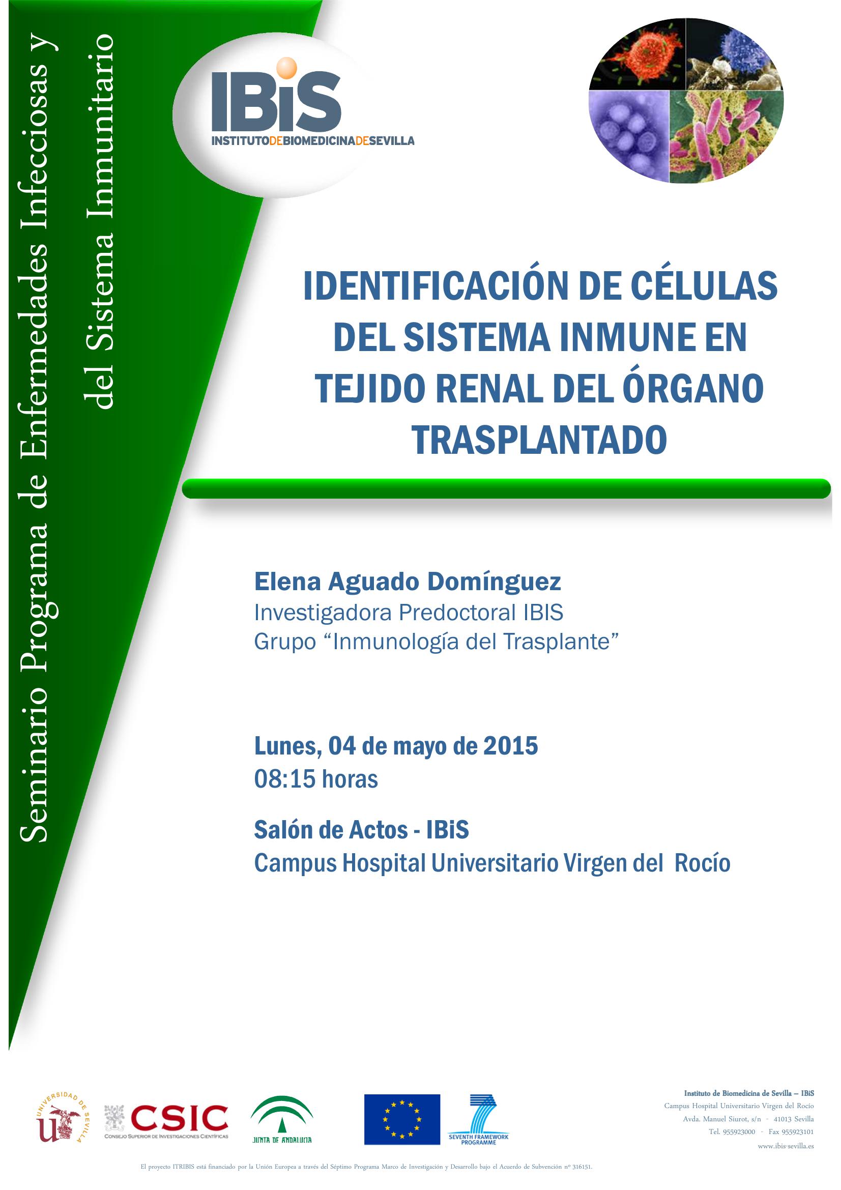 Poster: IDENTIFICACIÓN DE CÉLULAS  DEL SISTEMA INMUNE EN  TEJIDO RENAL DEL ÓRGANO TRASPLANTADO