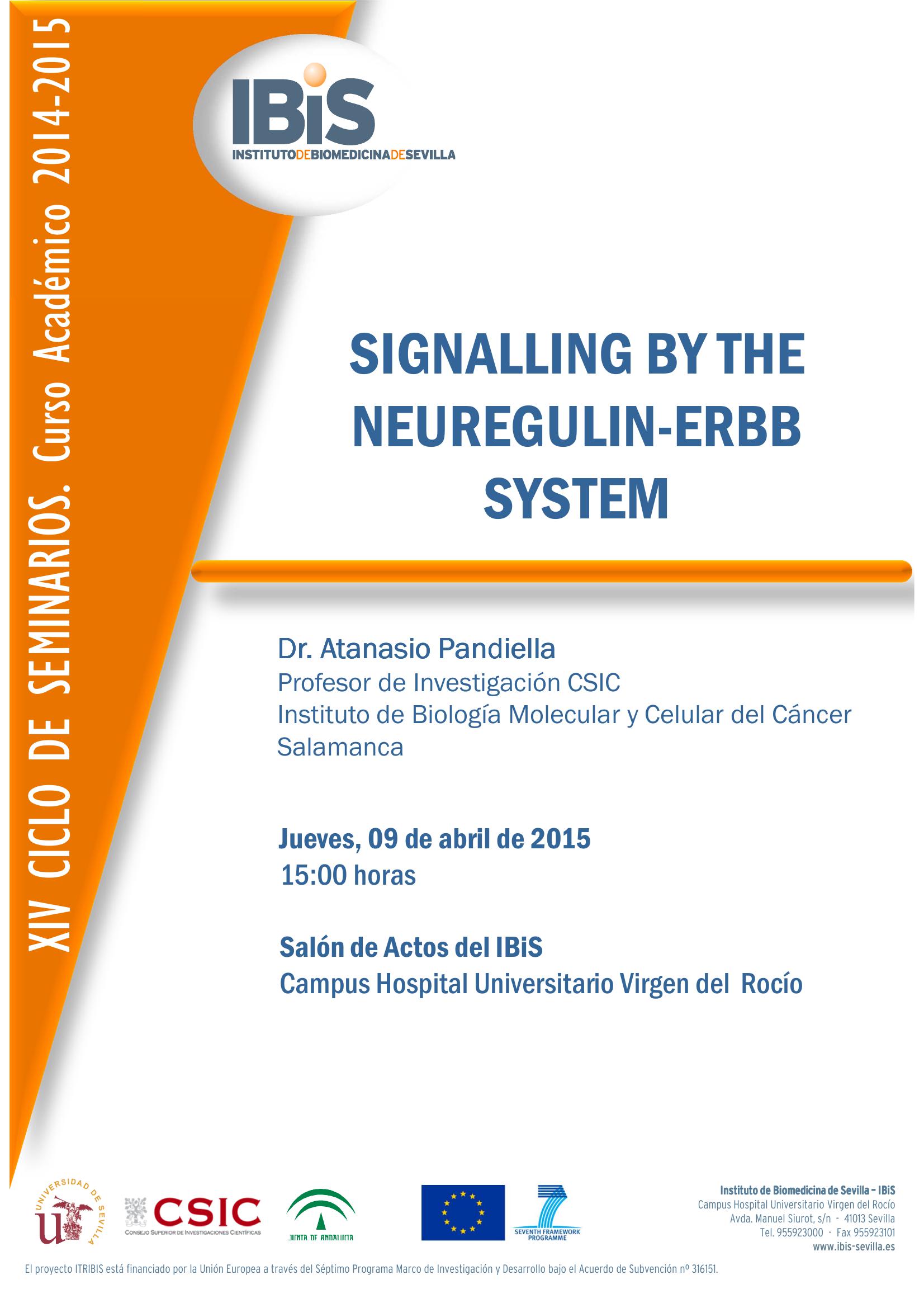 Poster: SIGNALLING BY THE NEUREGULIN-ERBB SYSTEM