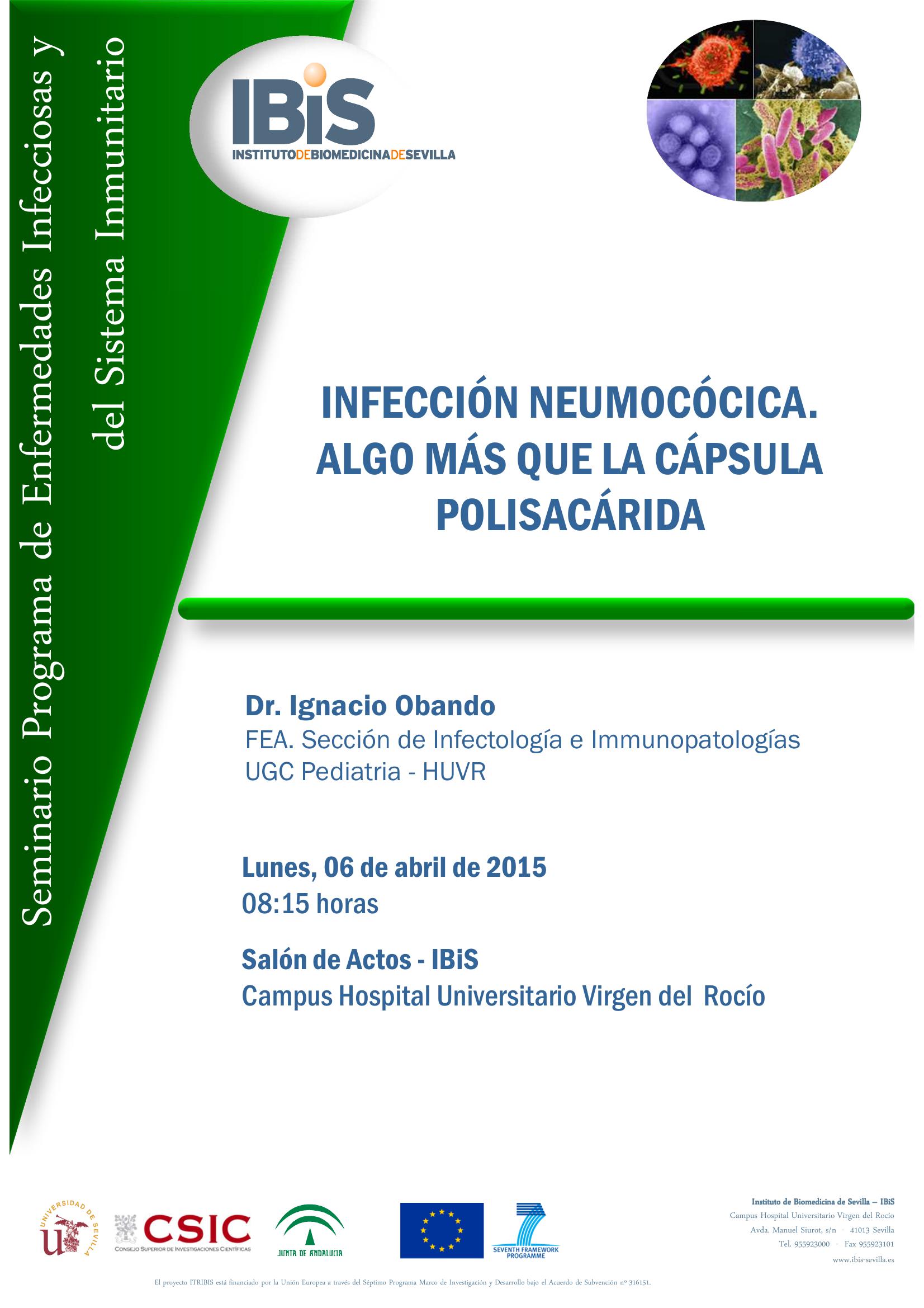 Poster: INFECCIÓN NEUMOCÓCICA.  ALGO MÁS QUE LA CÁPSULA POLISACÁRIDA