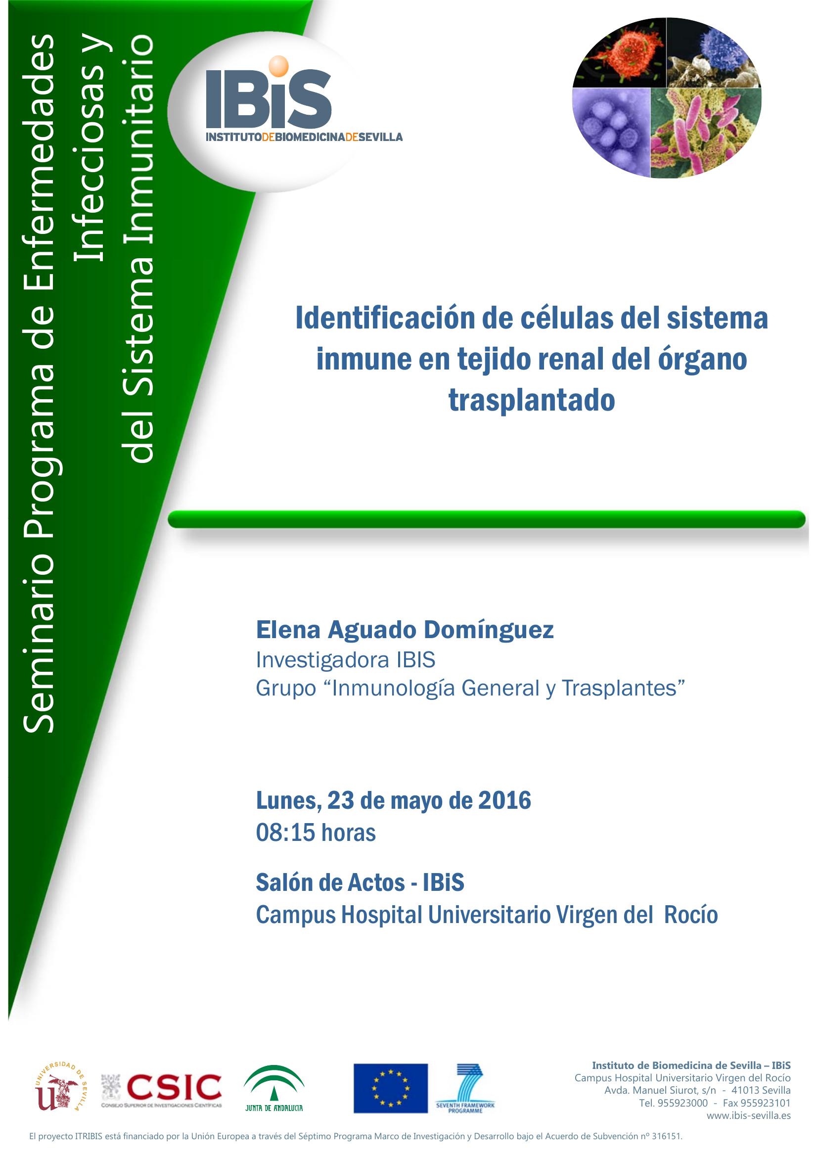 Poster: Identificación de células del sistema inmune en tejido renal del órgano trasplantado