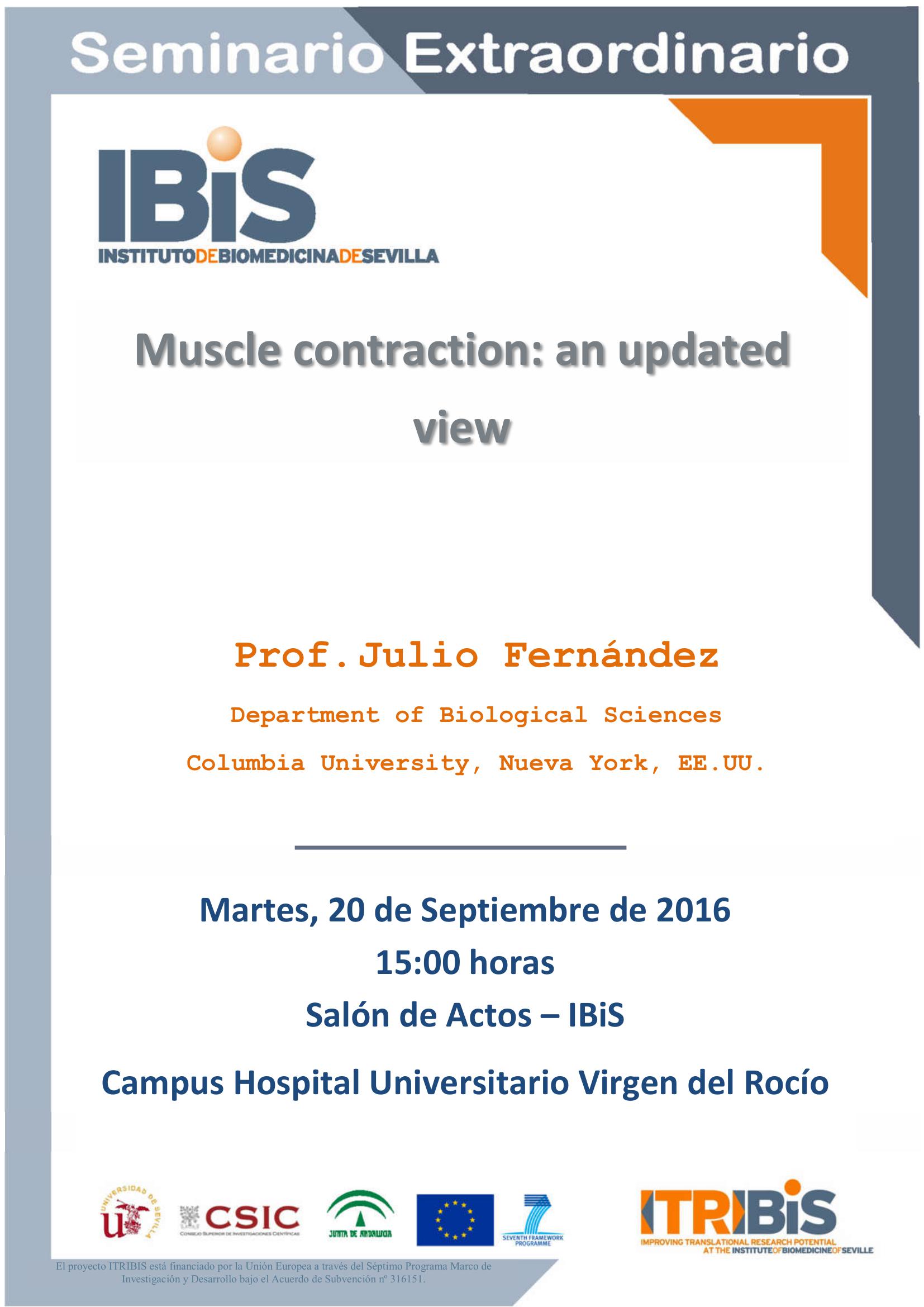 Poster: Muscle contraction: an updated view