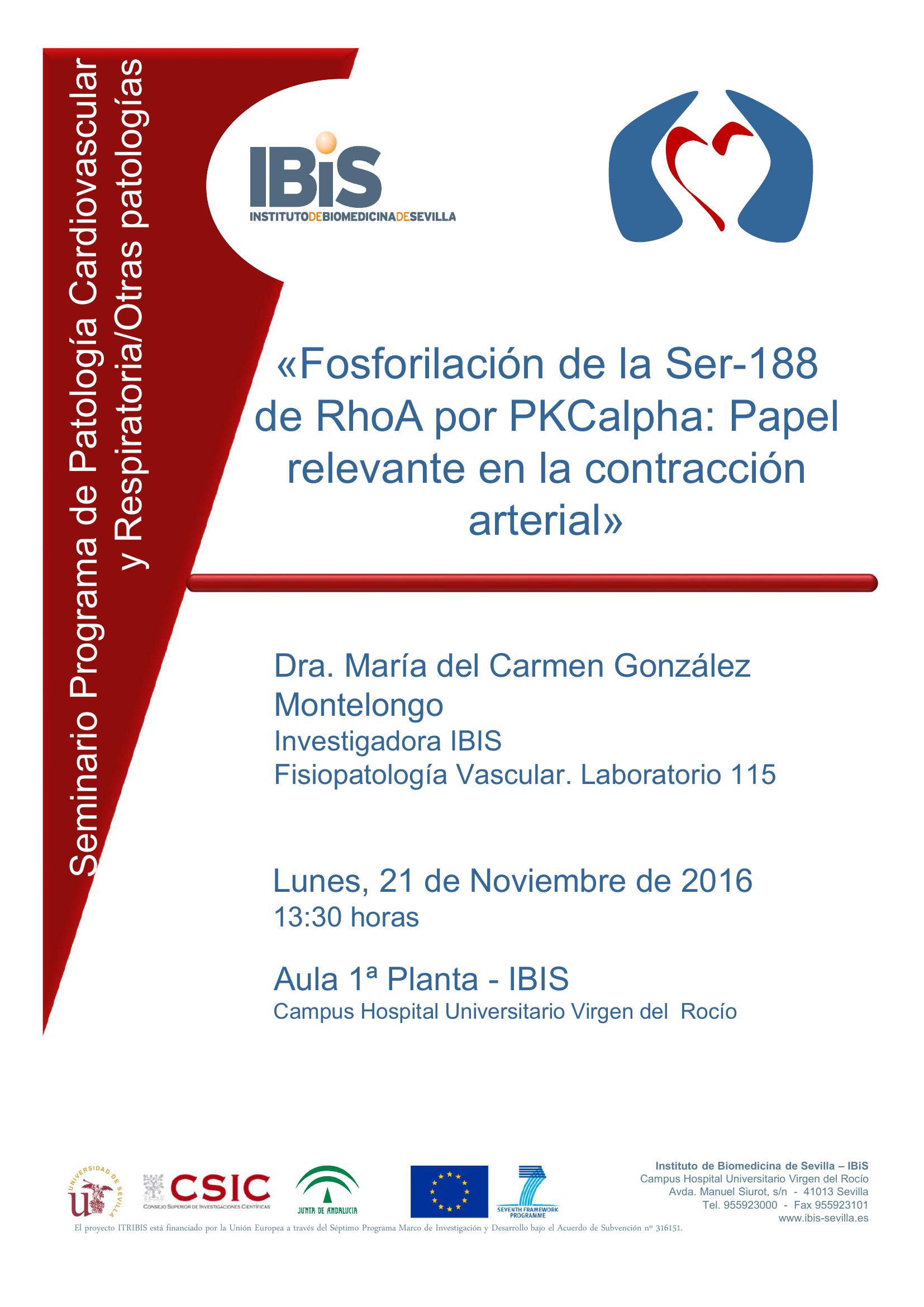Poster: Fosforilación de la Ser-188 de RhoA por PKCalpha: Papel relevante en la contracción arterial