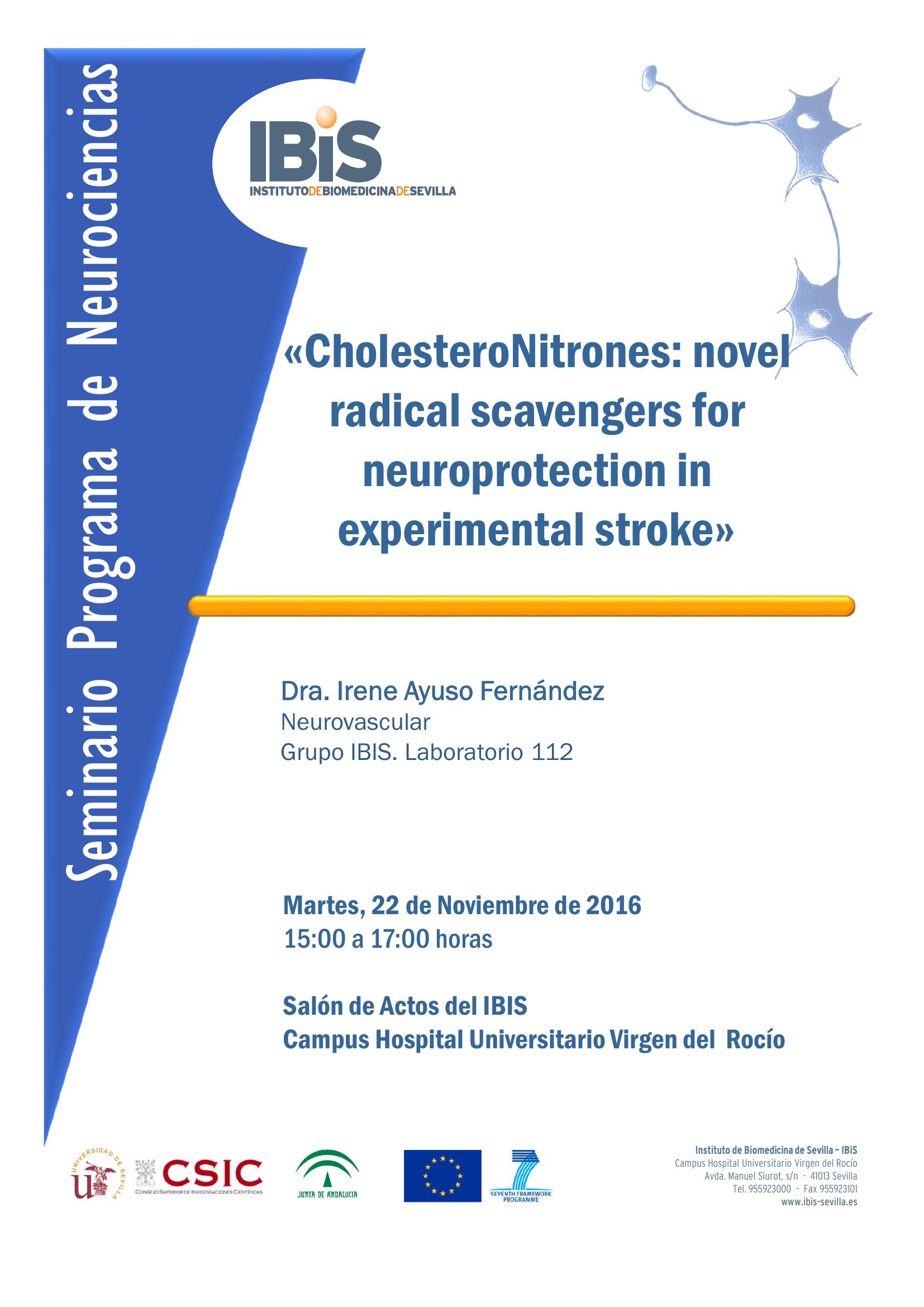 Poster: CholesteroNitrones: novel radical scavengers for neuroprotection in experimental stroke
