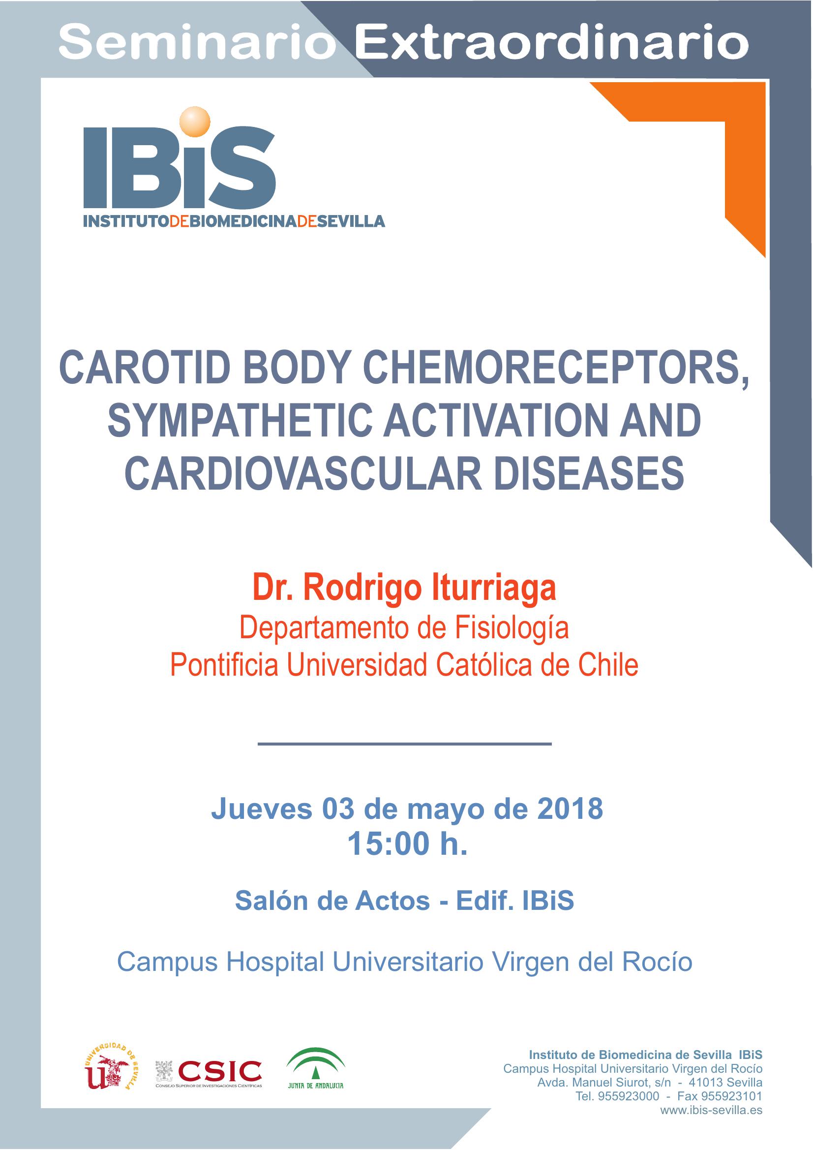 Poster: Carotid body chemoreceptors, sympathetic activation and cardiovascular diseases