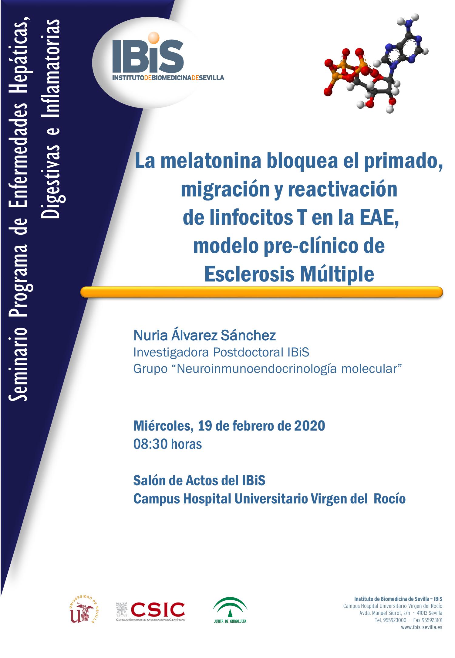 Poster: La melatonina bloquea el primado, migración y reactivación  de linfocitos T en la EAE,  modelo pre-clínico de  Esclerosis Múltiple