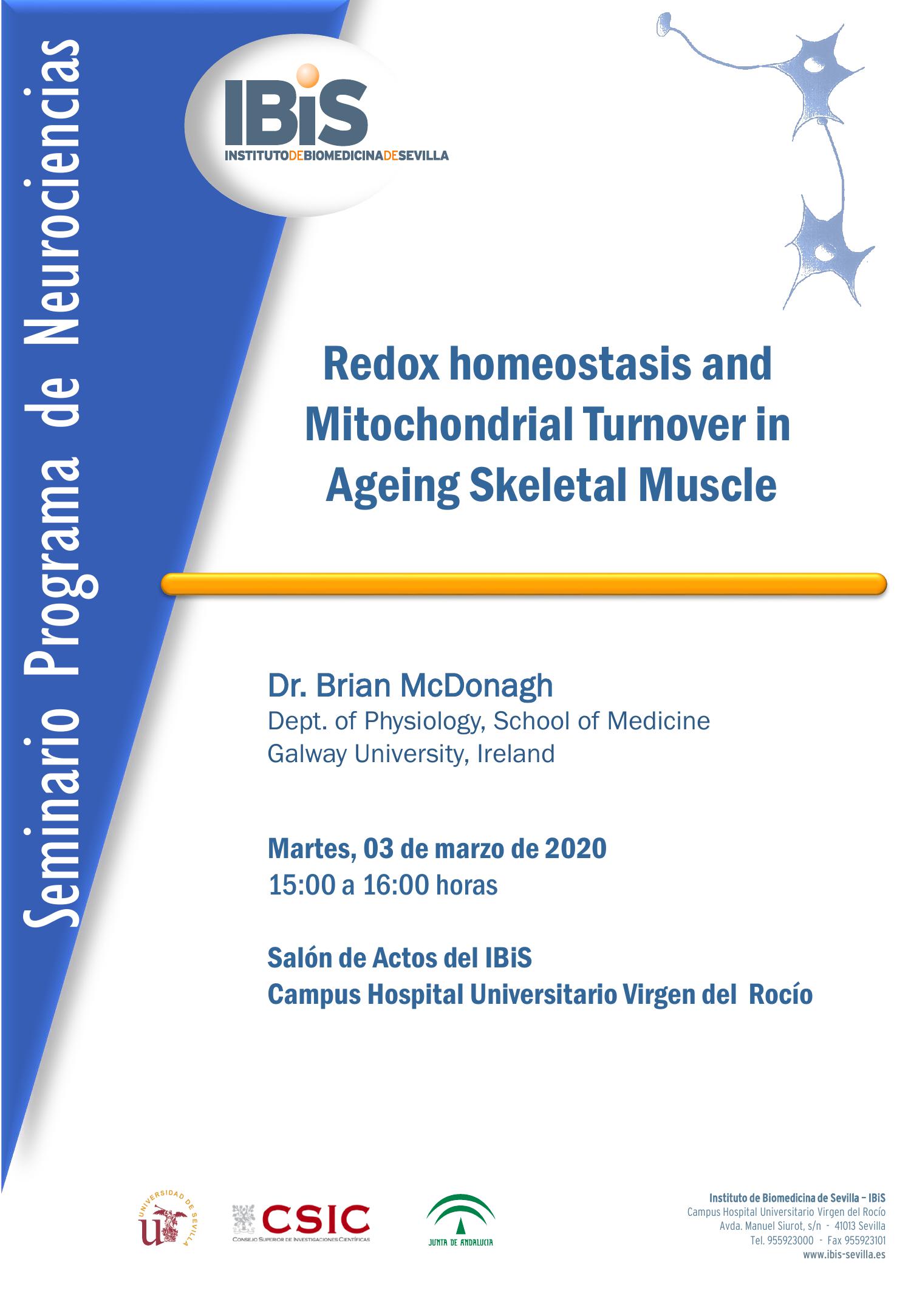 Poster: Redox homeostasis and Mitochondrial Turnover in  Ageing Skeletal Muscle