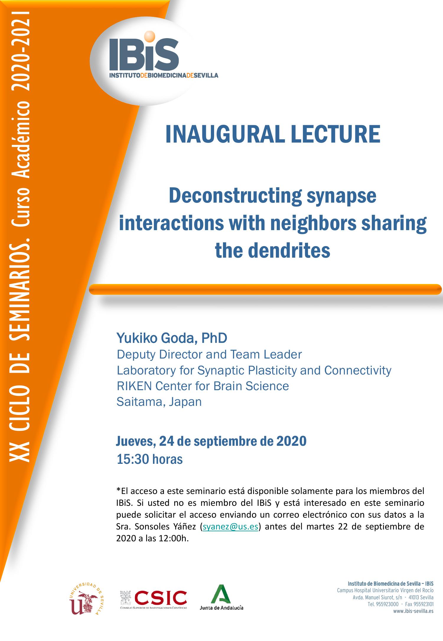 Poster: Deconstructing synapse interactions with neighbors sharing the dendrites