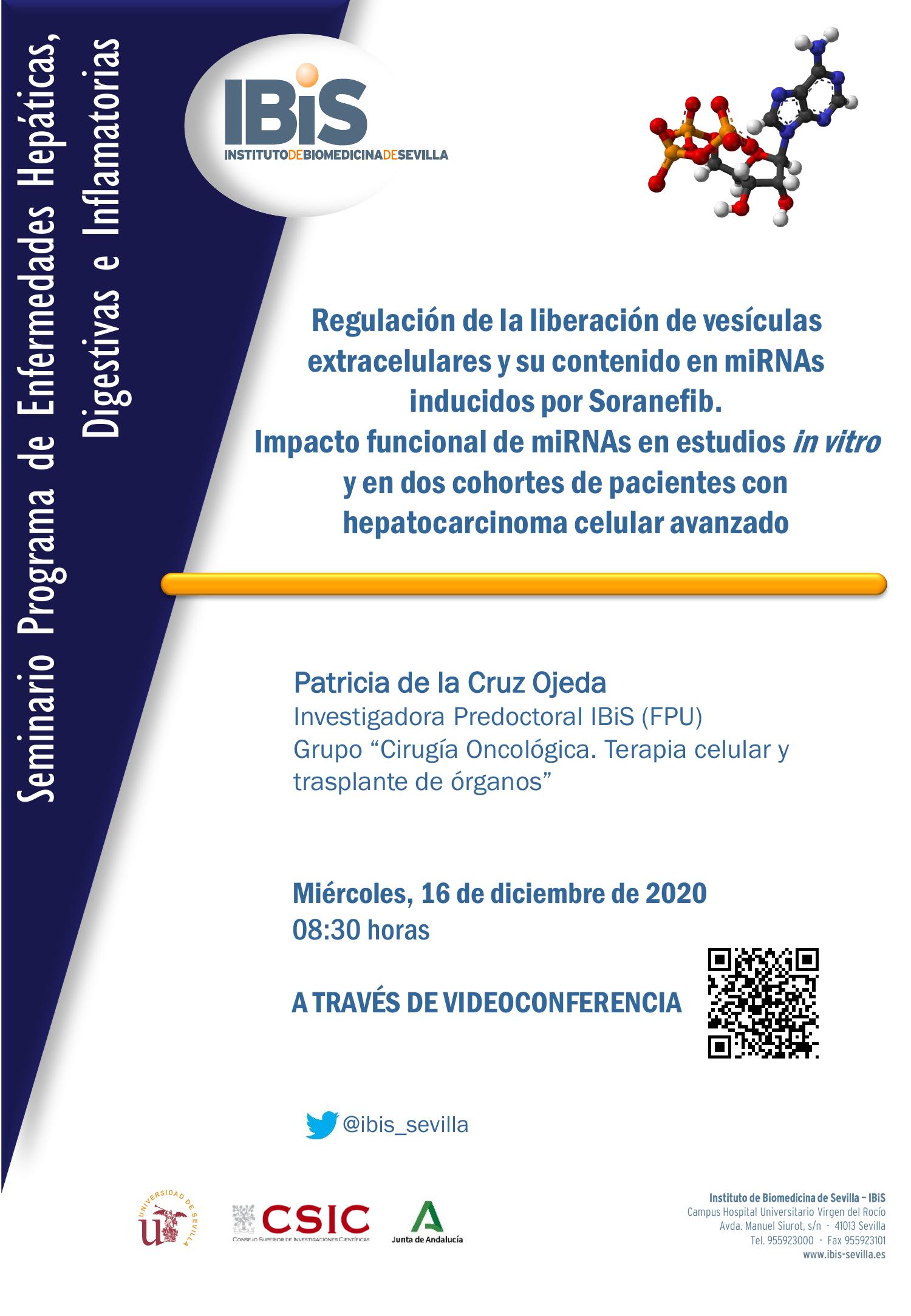 Poster: Regulación de la liberación de vesículas extracelulares y su contenido en miRNAs inducidos por Soranefib.  Impacto funcional de miRNAs en estudios in vitro y en dos cohortes de pacientes con hepatocarcinoma celular avanzado