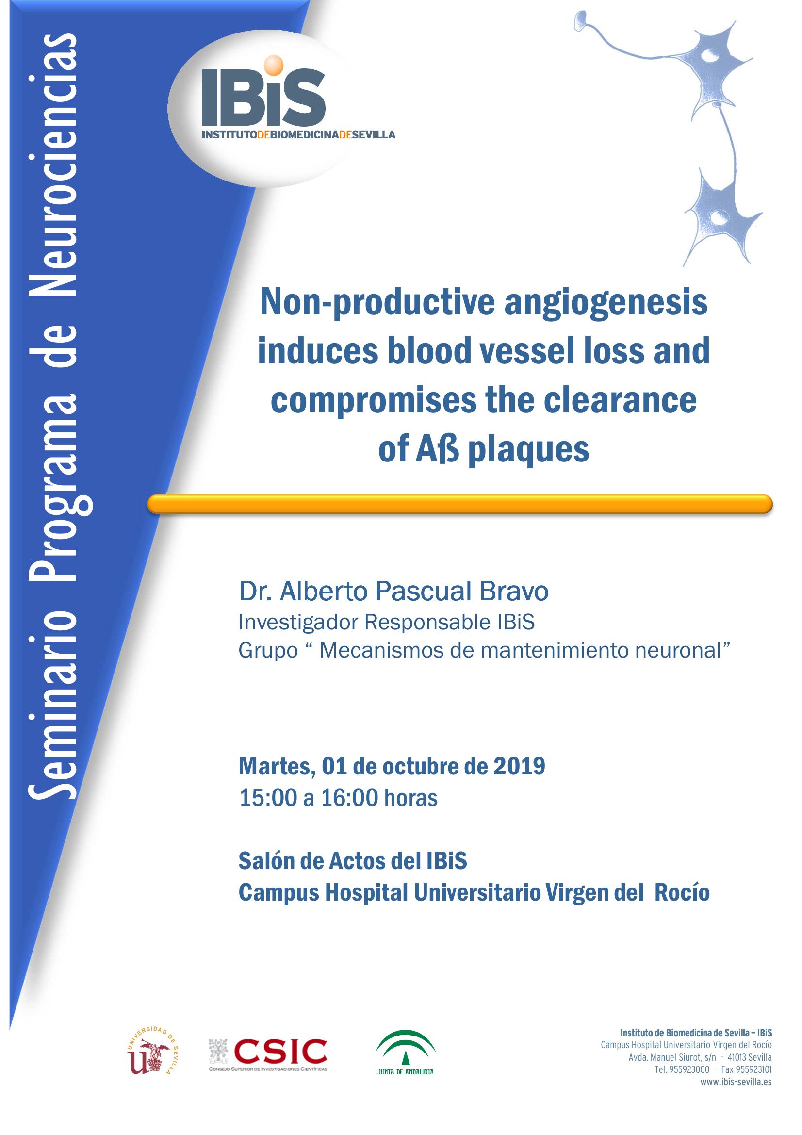Poster: Non-productive angiogenesis induces blood vessel loss and compromises the clearance  of Aß plaques