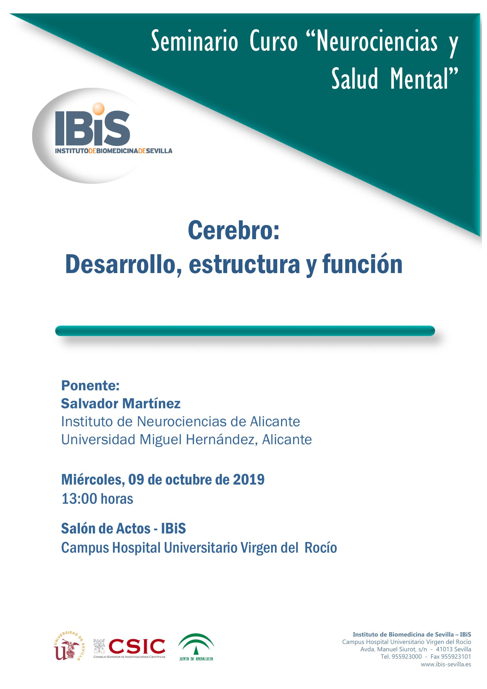 Poster: Cerebro: Desarrollo, estructura y función