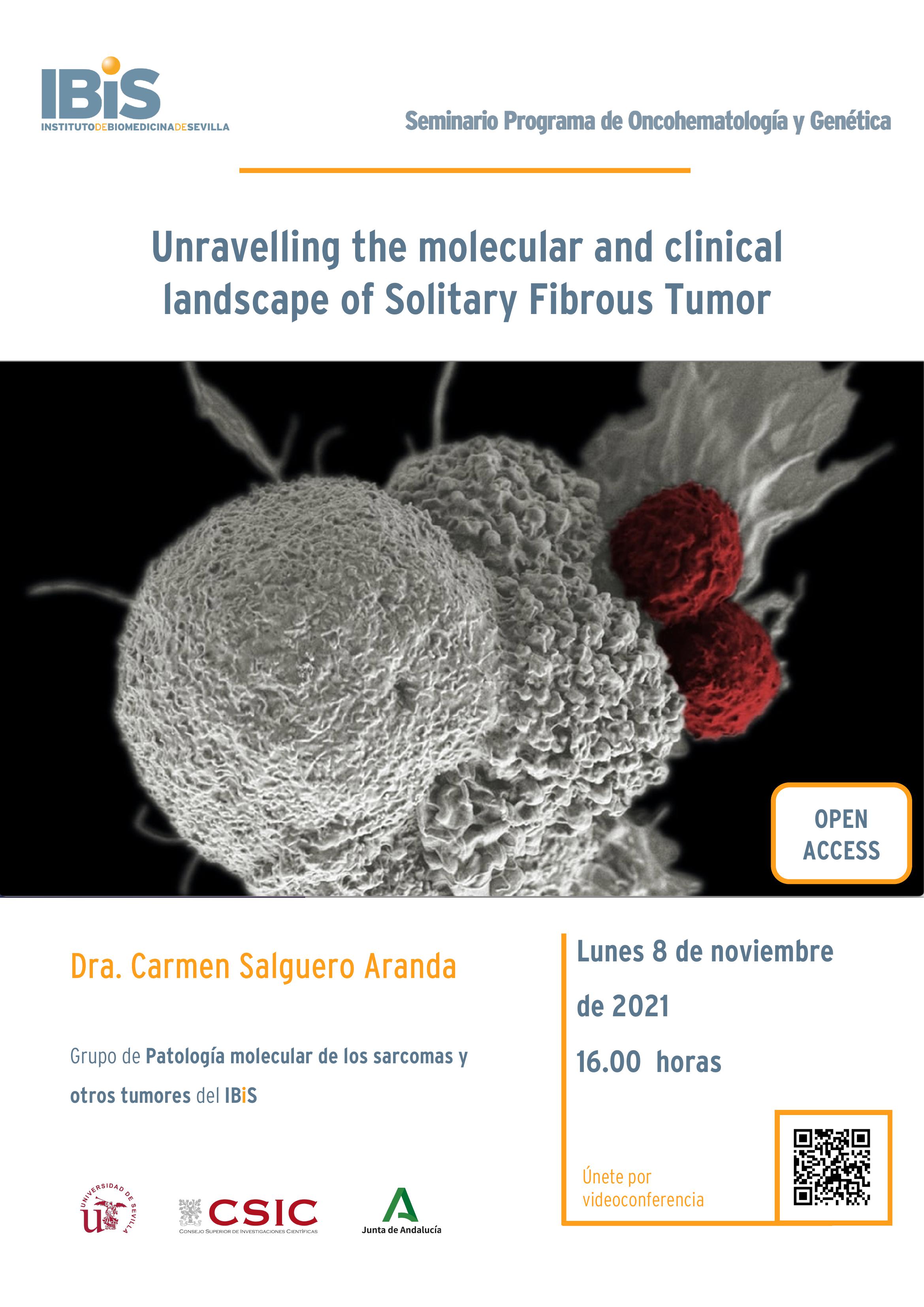 Poster: Unravelling the molecular and clinical landscape of Solitary Fibrous Tumor