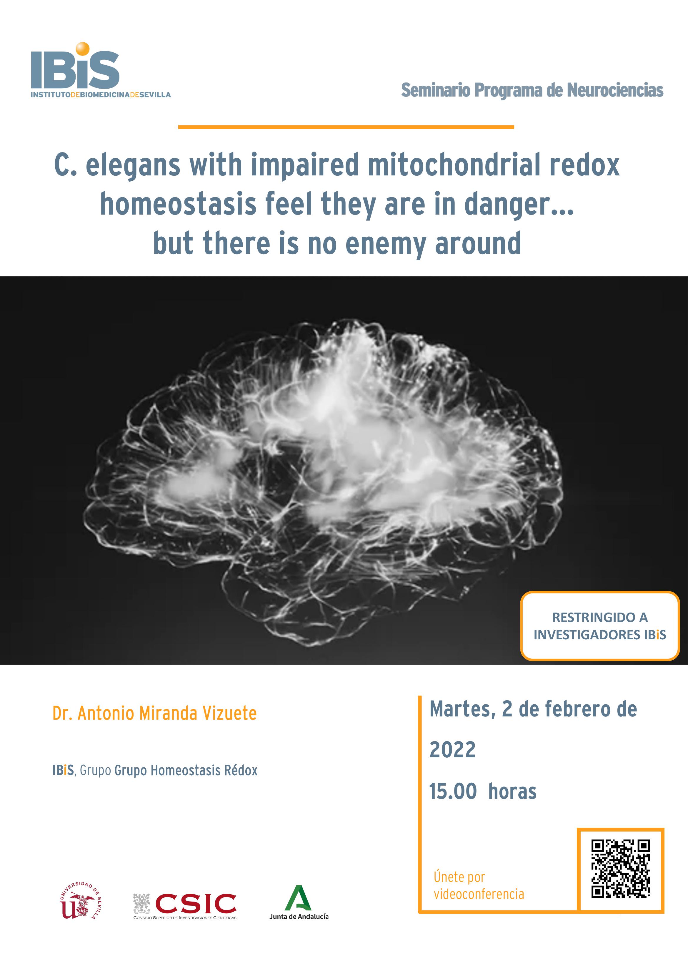Poster: C. elegans with impaired mitochondrial redox homeostasis feel they are in danger…  but there is no enemy around