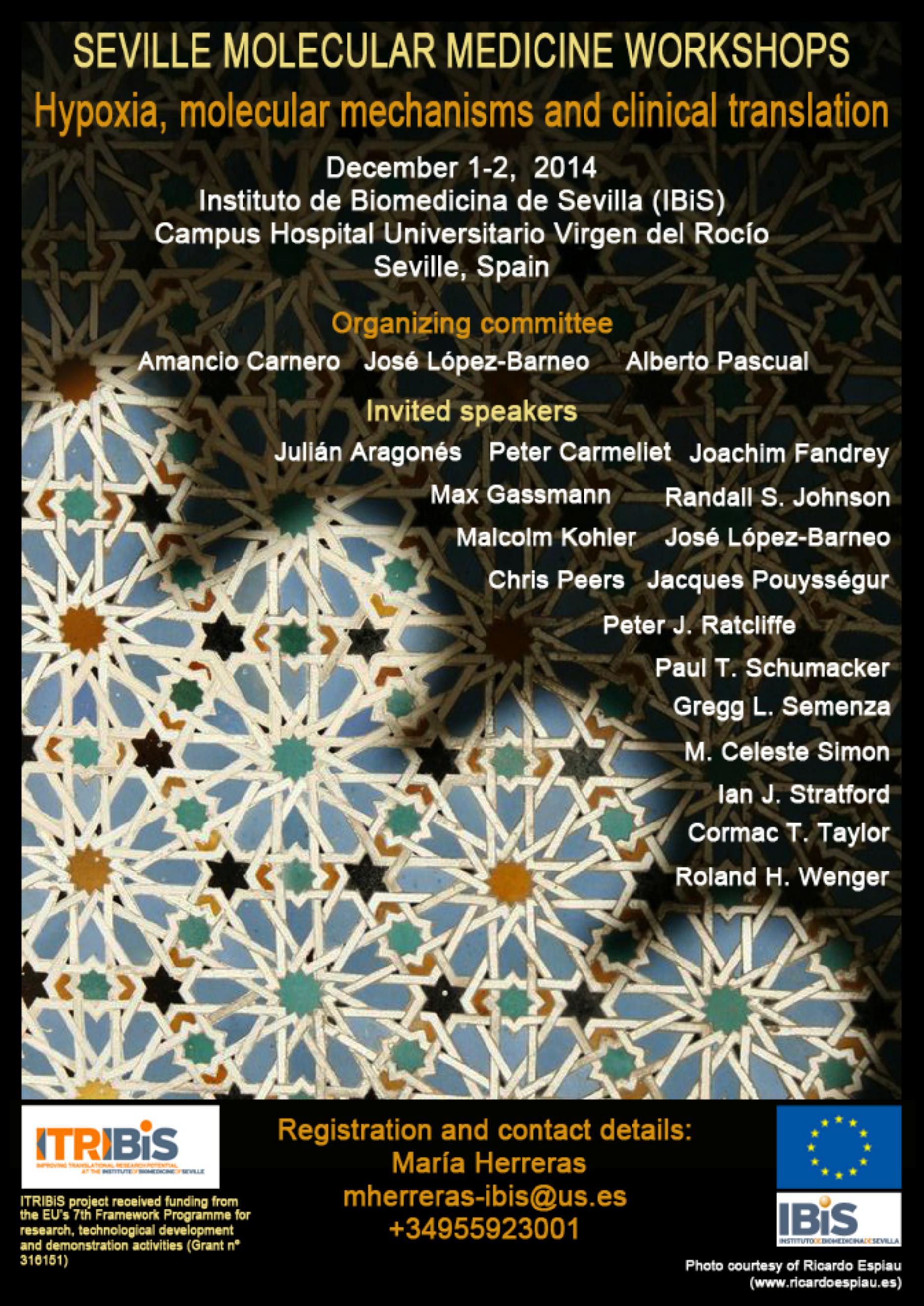 Poster: SEVILLE MOLECULAR MEDICINE WORKSHOP ENTITLED HYPOXIA, MOLECULAR MECHANISMS AND CLINICAL TRANSLATION