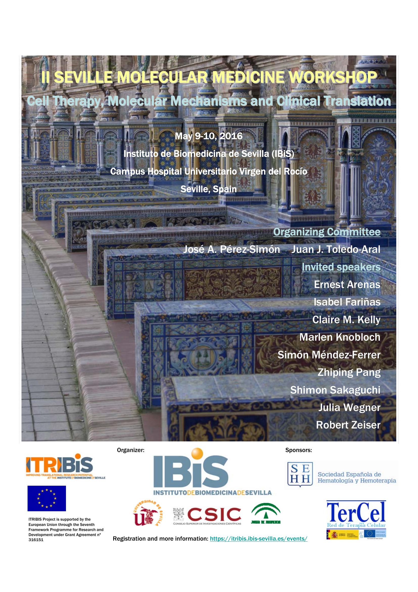 Poster: II Seville Molecular Medicina Workshop