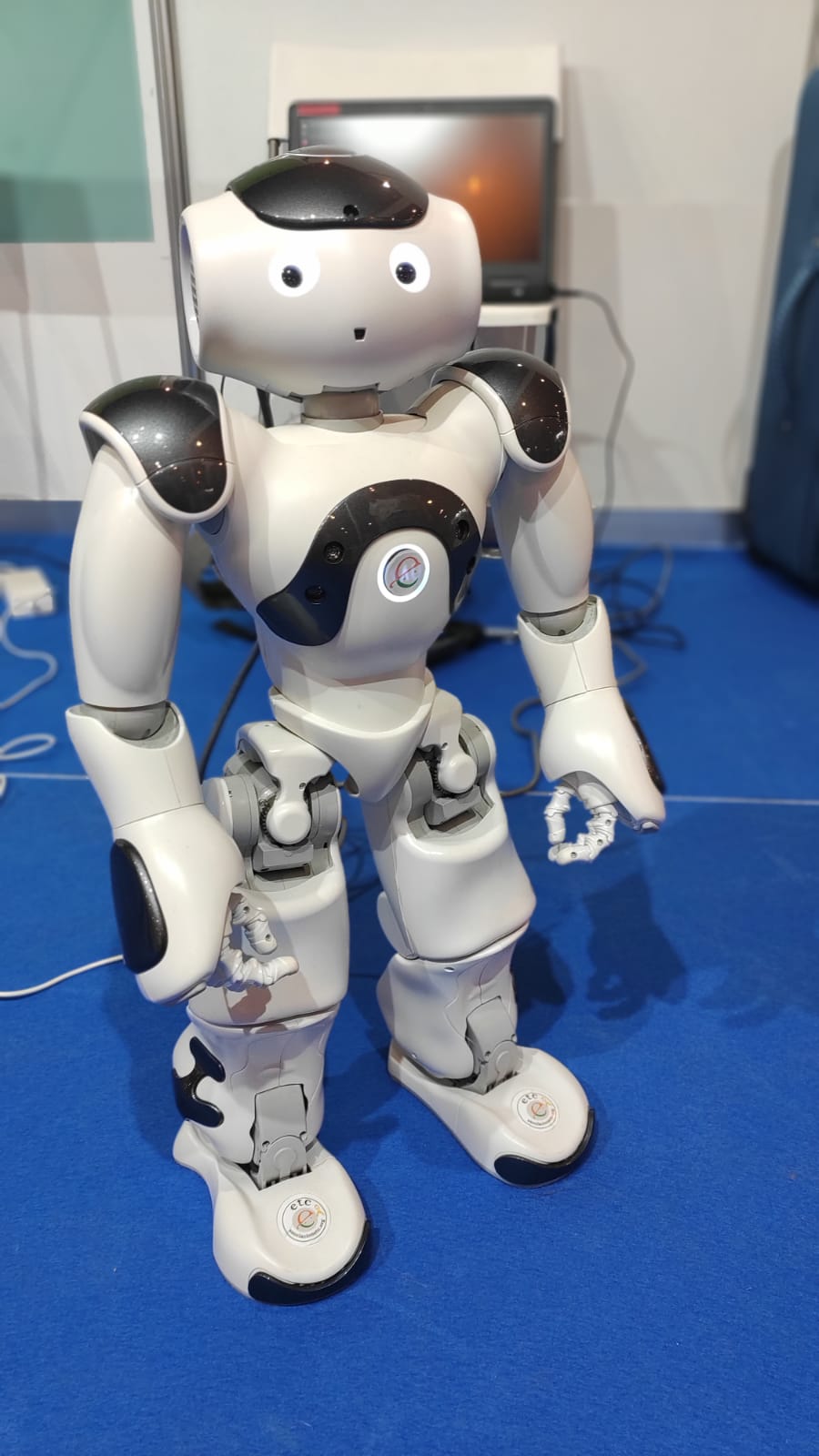 IBiS-HUVR Robot
