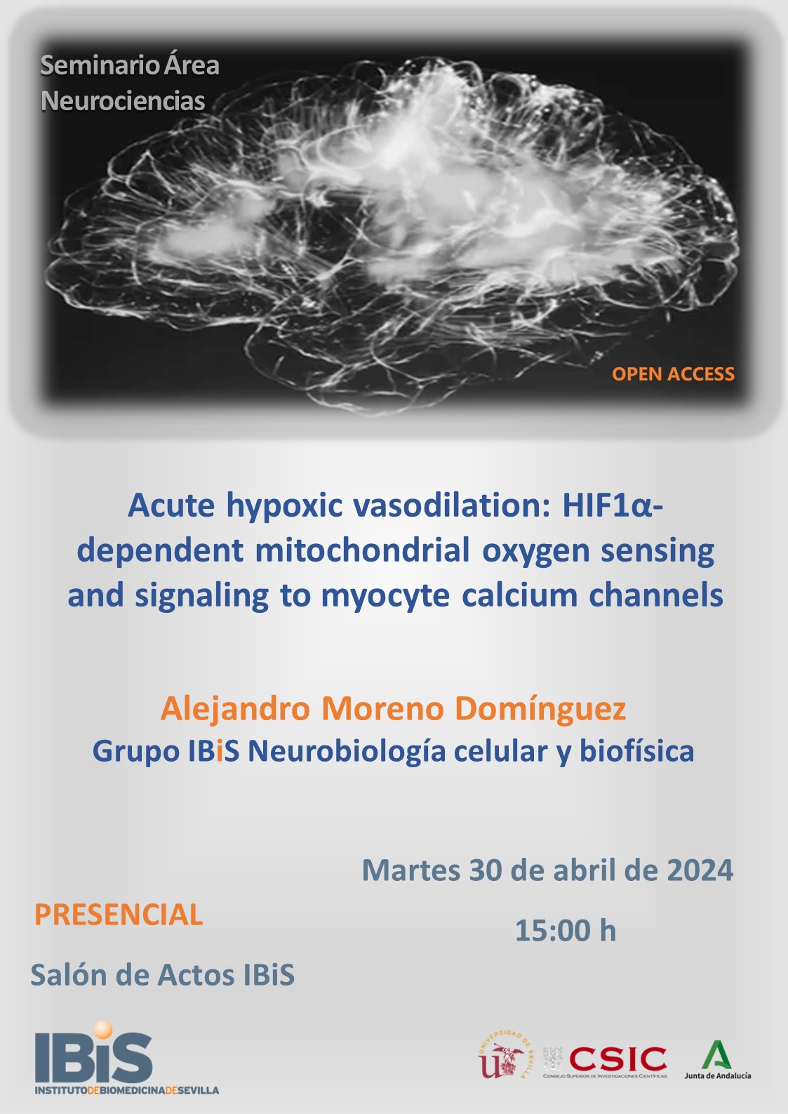 Poster: Acute hypoxic vasodilation: HIF1α-dependent mitochondrial oxygen sensing and signaling to myocyte calcium channels