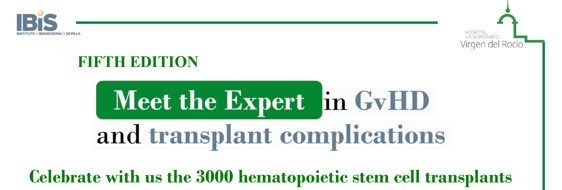 Poster: "Fifth Edition Meet the Expert" y Evento 3000