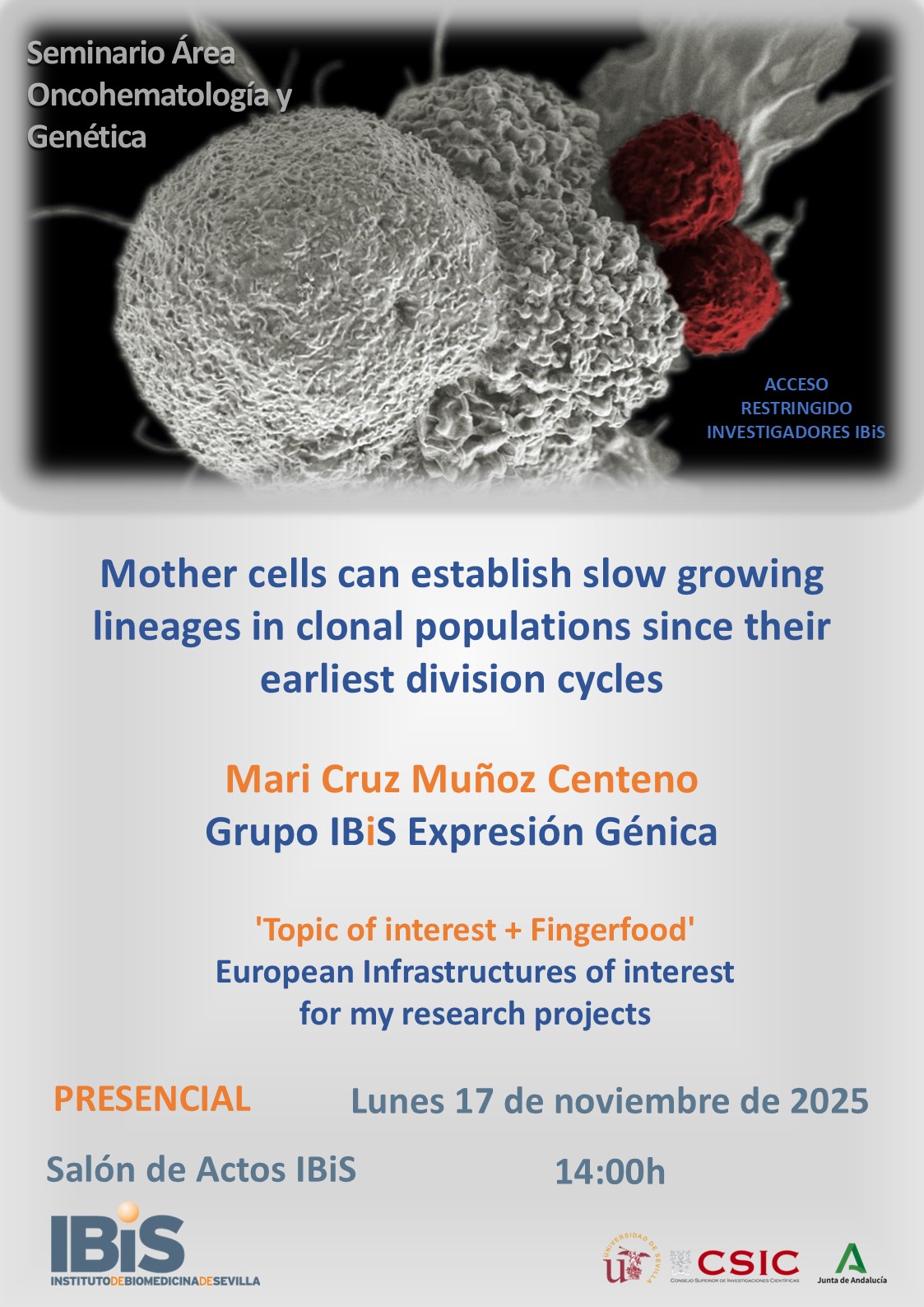Poster: Mother cells can establish slow growing lineages in clonal populations since their earliest division cycles