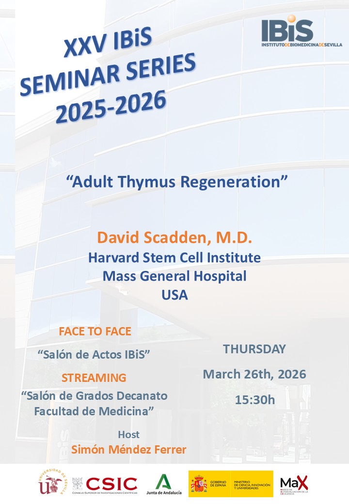Poster: Adult Thymus Regeneration