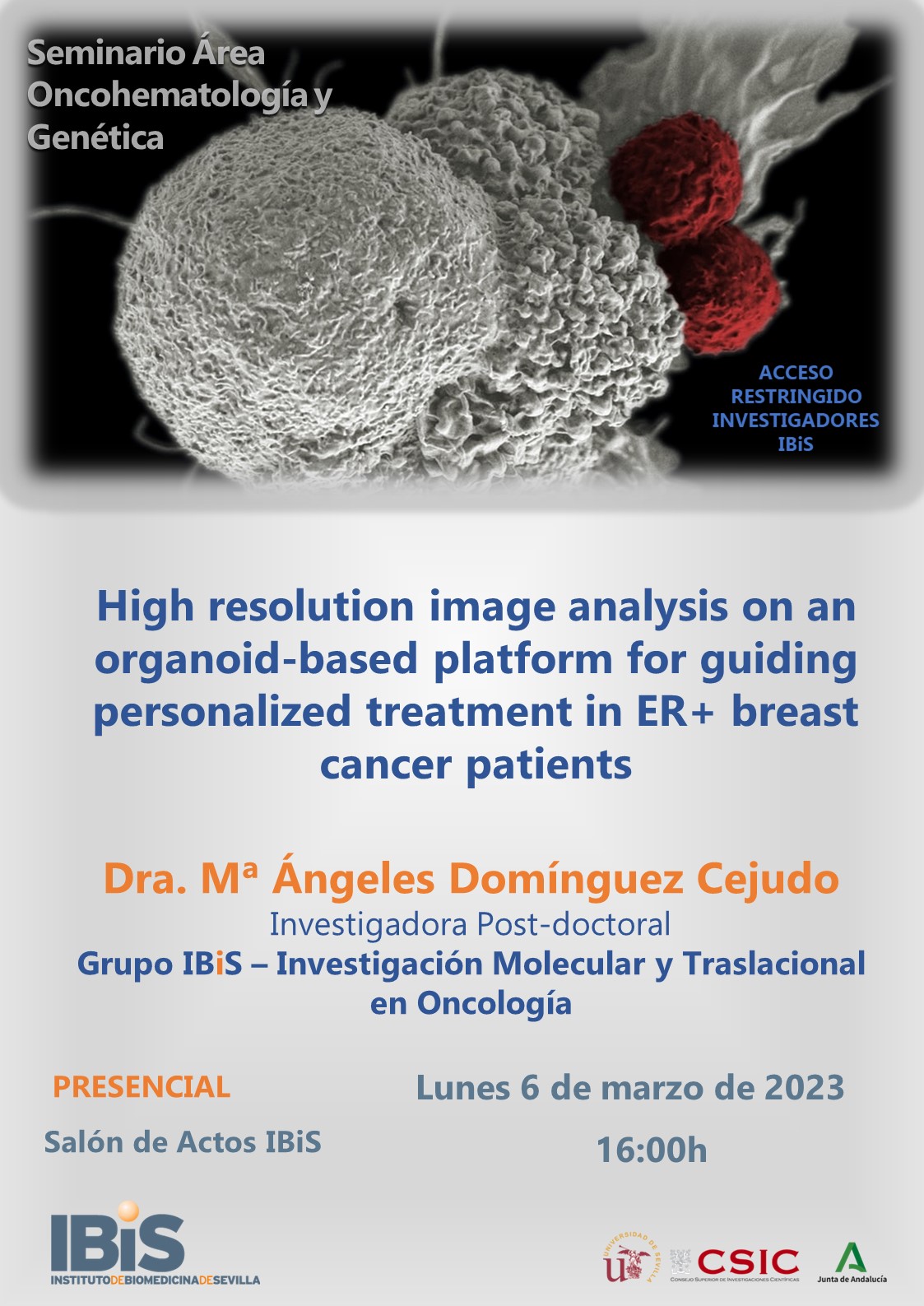 Poster: High resolution image analysis on an organoid based platform for guiding personalized treatment in ER+ breast cancer patients