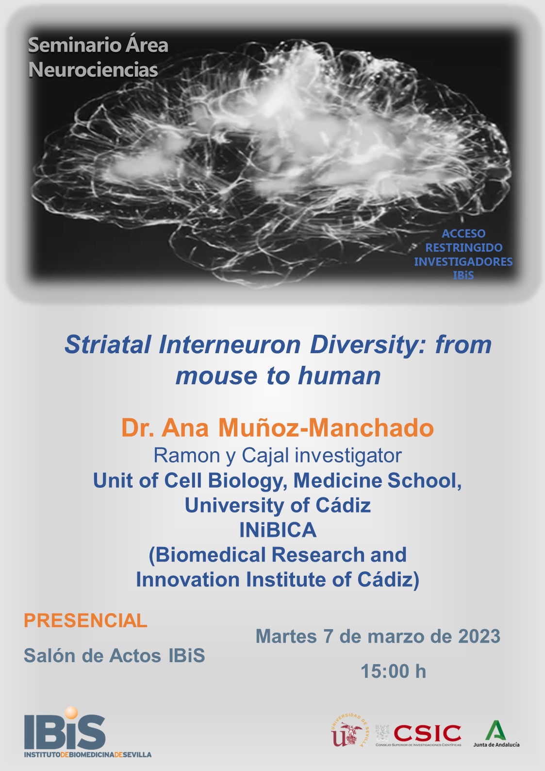 Poster: Striatal Interneuron Diversity: from mouse to human