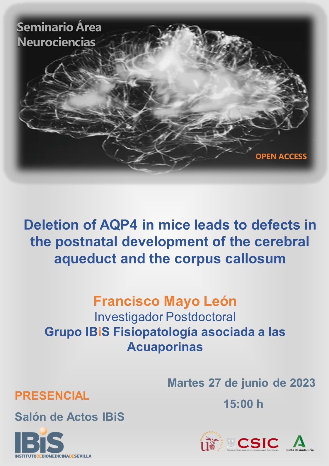 Poster: Deletion of AQP4 in mice leads to defects in the postnatal development of the cerebral aqueduct and the corpus callosum