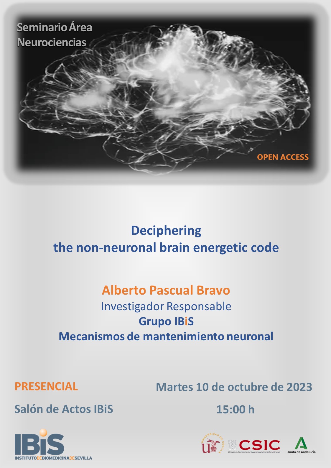 Poster: Deciphering  the non-neuronal brain energetic code