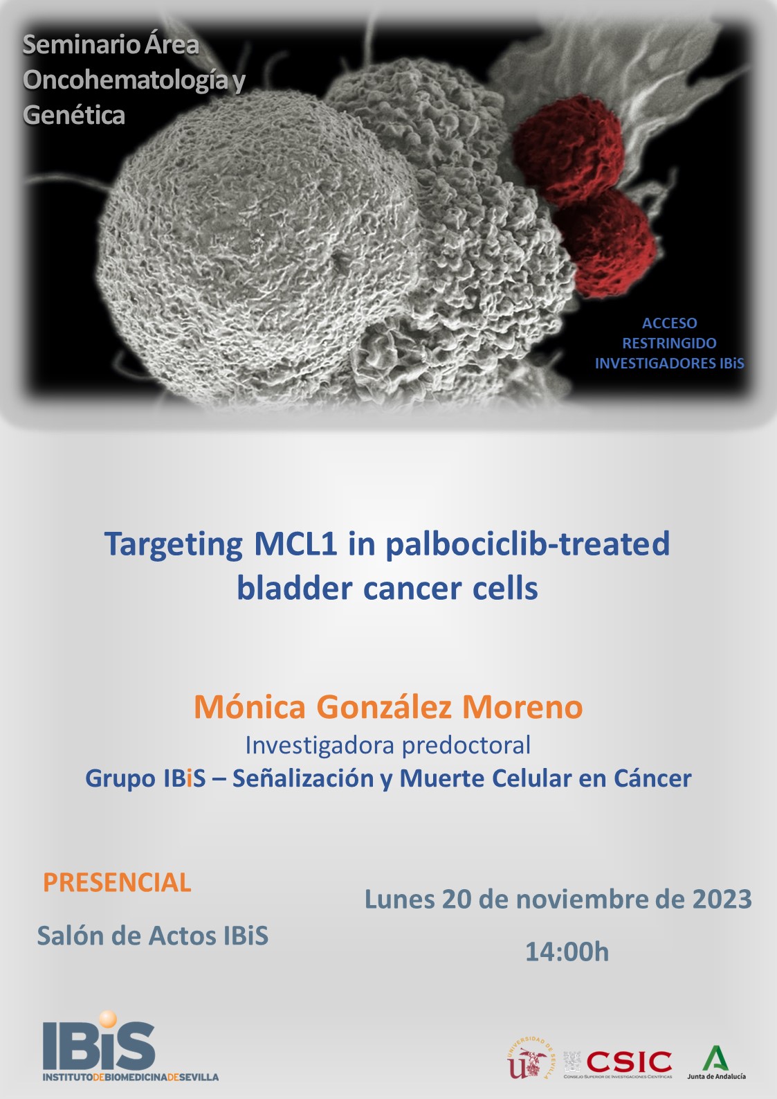 Poster: Targeting MCL1 in palbociclib-treated bladder cancer cells