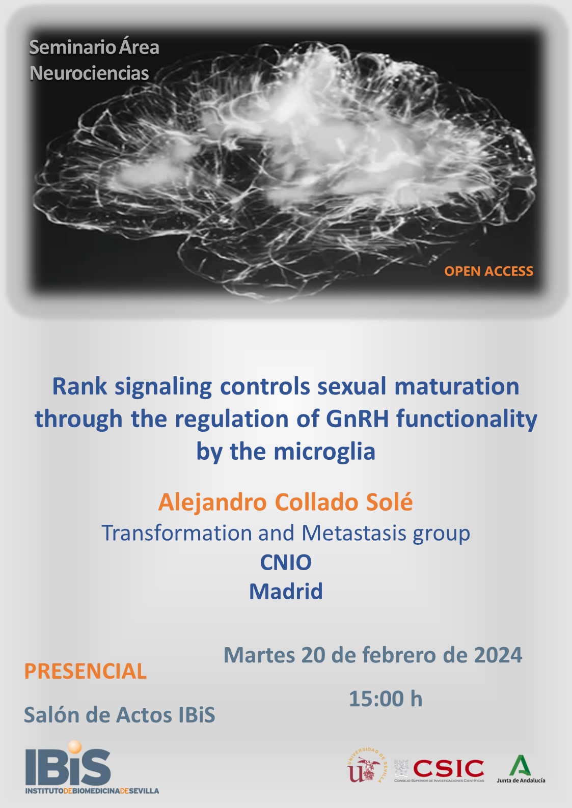 Poster: Rank signaling controls sexual maturation through the regulation of GnRH functionality by the microglia