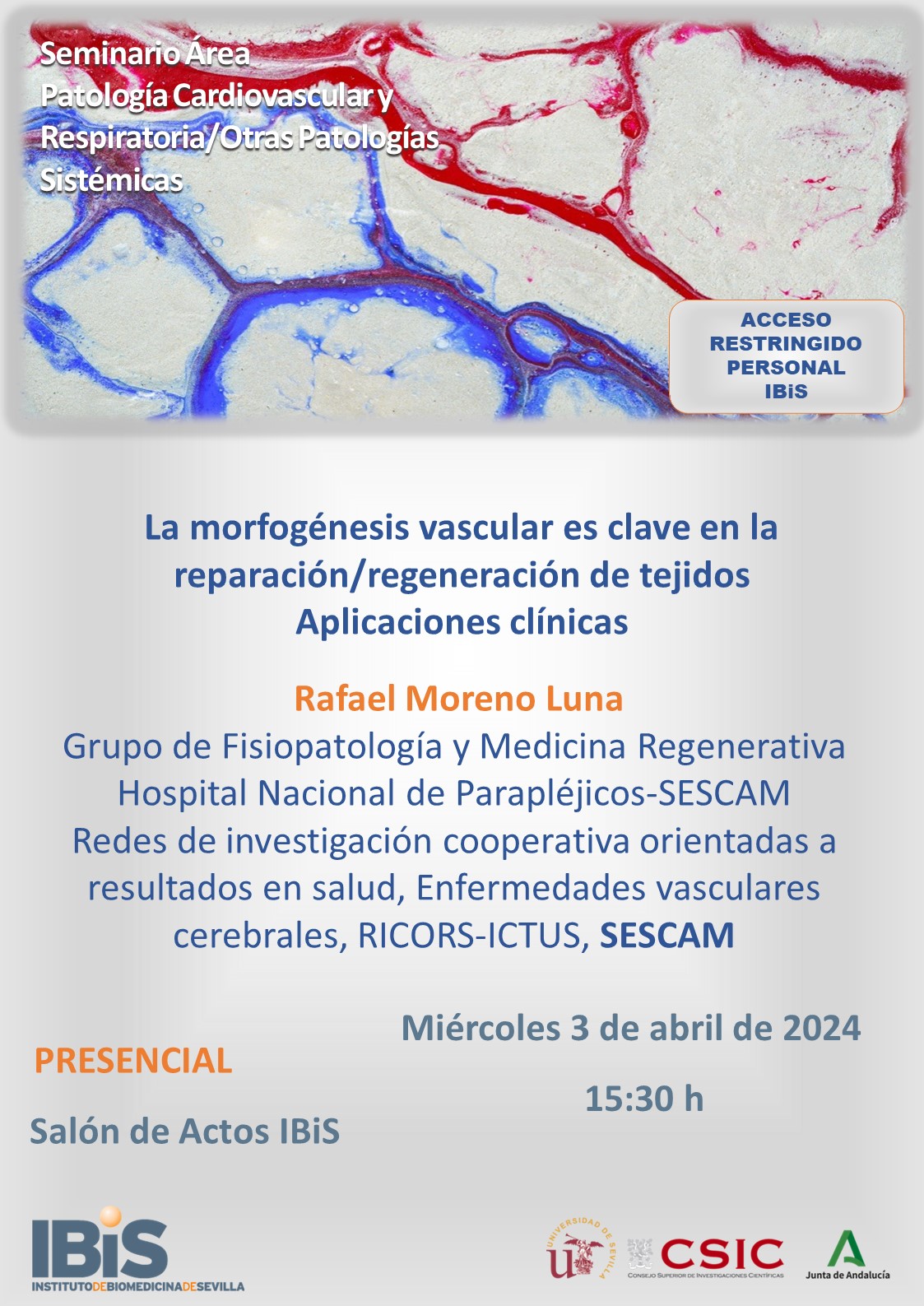 Poster: La morfogénesis vascular es clave en la reparación/regeneración de tejidos Aplicaciones clínicas