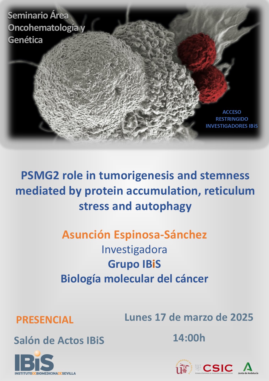 Poster: PSMG2 role in tumorigenesis and stemness mediated by protein accumulation, reticulum stress and autophagy