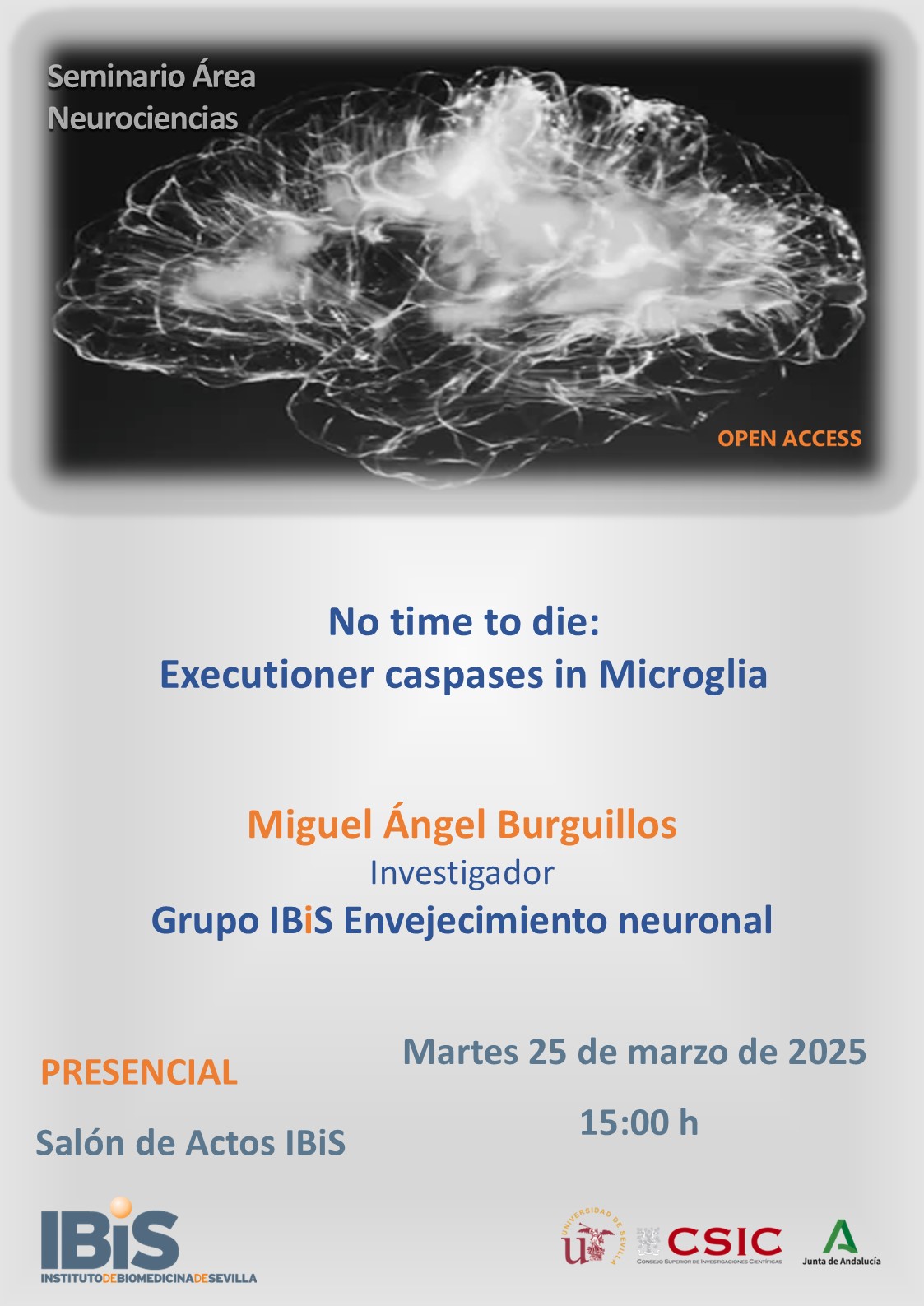 Poster: No time to die: Executioner caspases in Microglia