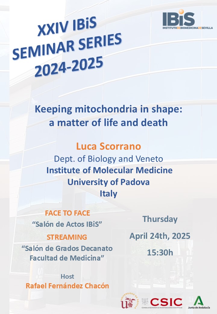 Poster: Keeping mitochondria in shape: a matter of life and death