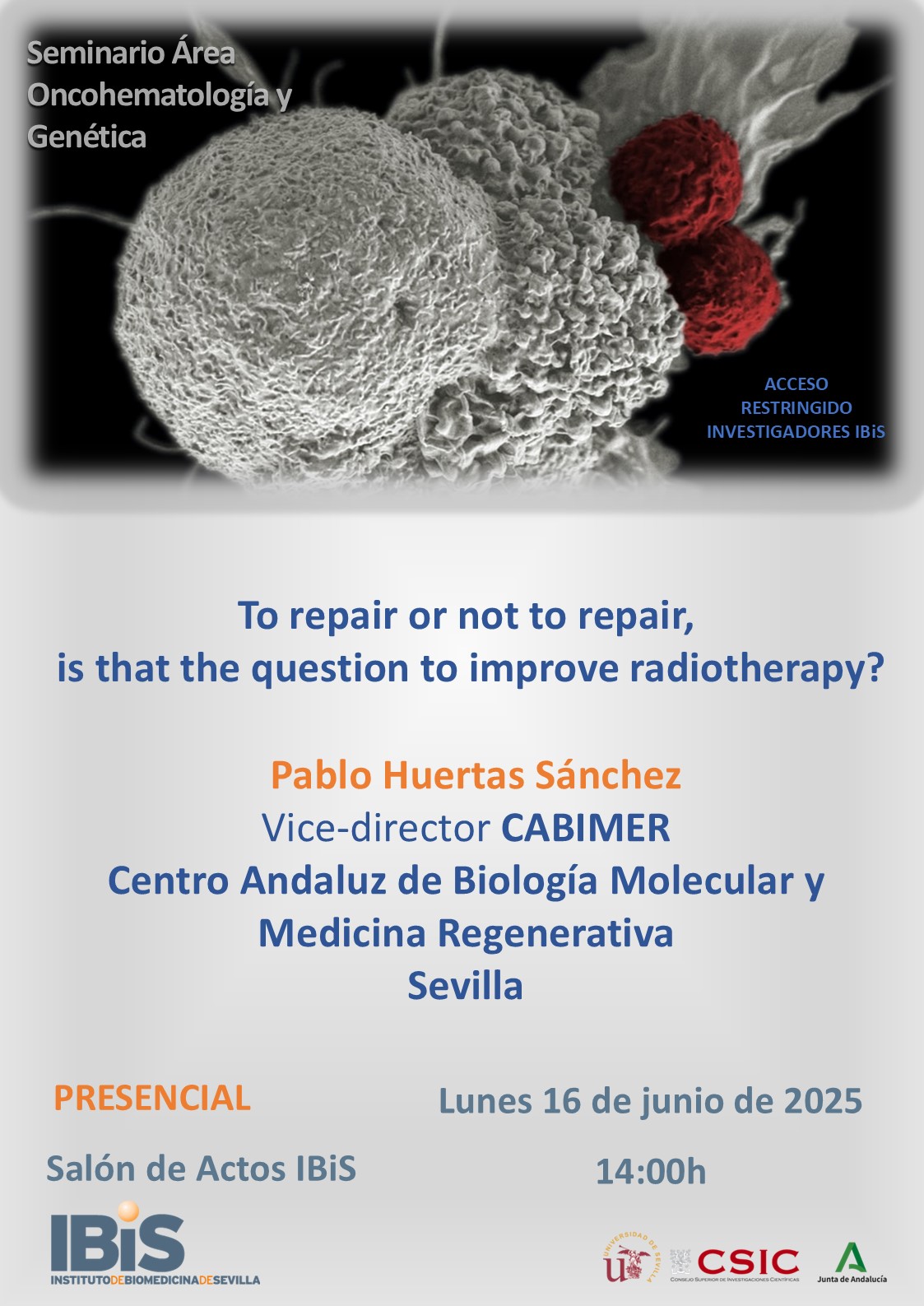 Poster: To repair or not to repair, is that the question to improve radiotherapy?