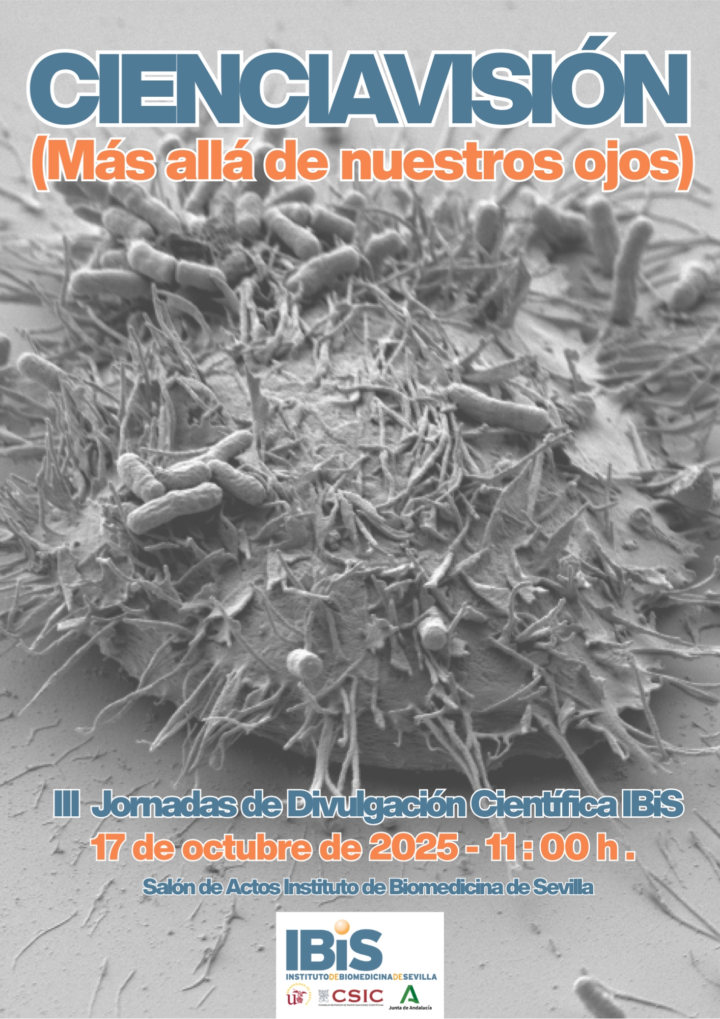 Poster: III Jornadas de Divulgación Científica del IBiS - "CIENCIAVISION: Más allá de nuestros ojos"
