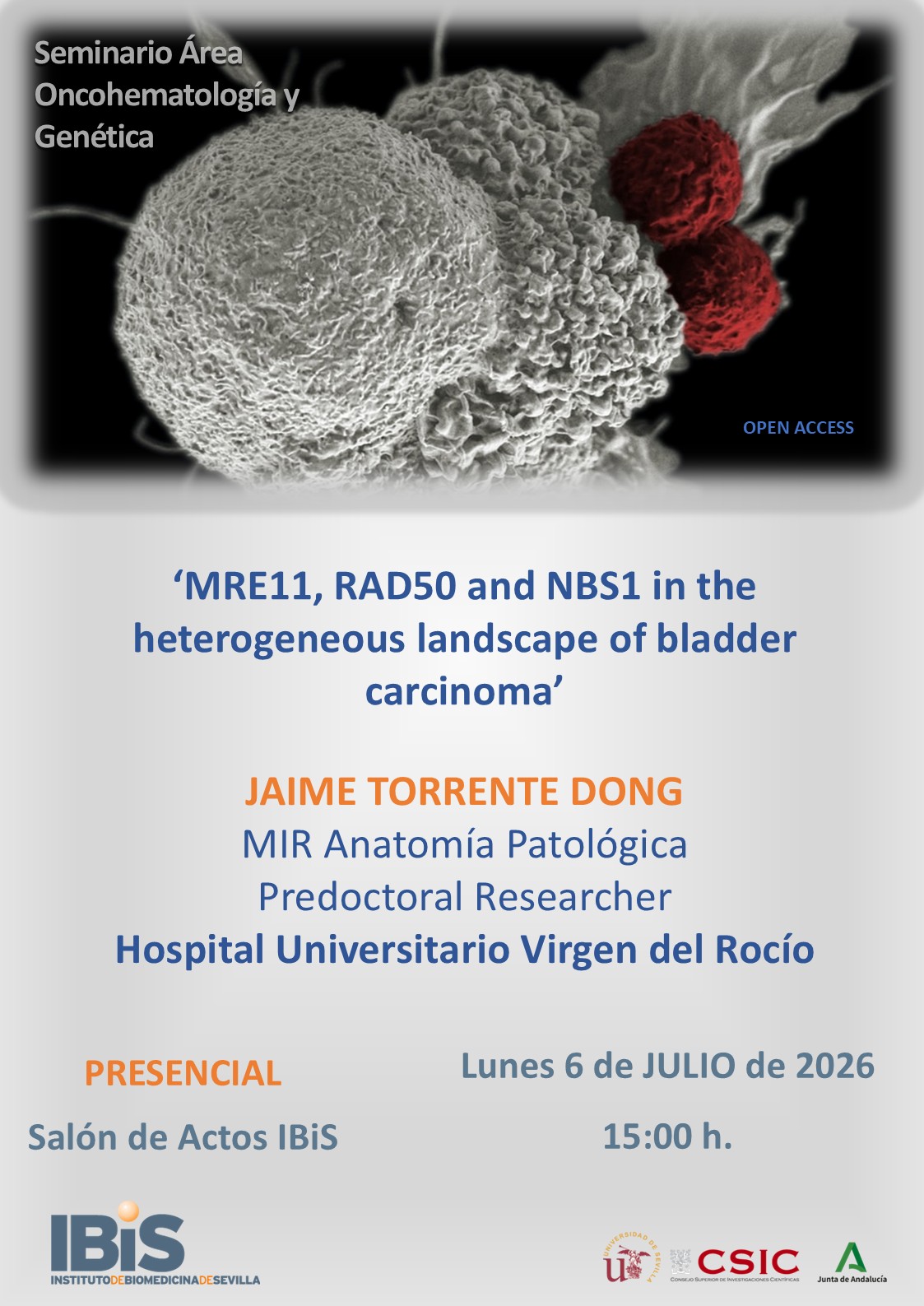 Poster: MRE11, RAD50 and NBS1 in the heterogeneous landscape of bladder carcinoma