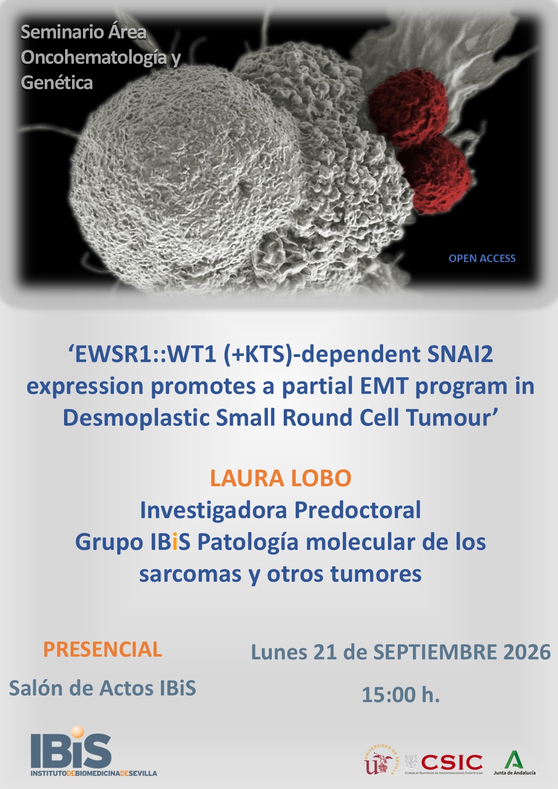 Poster: EWSR1::WT1 (+KTS)-dependent SNAI2 expression promotes a partial EMT program in Desmoplastic Small Round Cell Tumour
