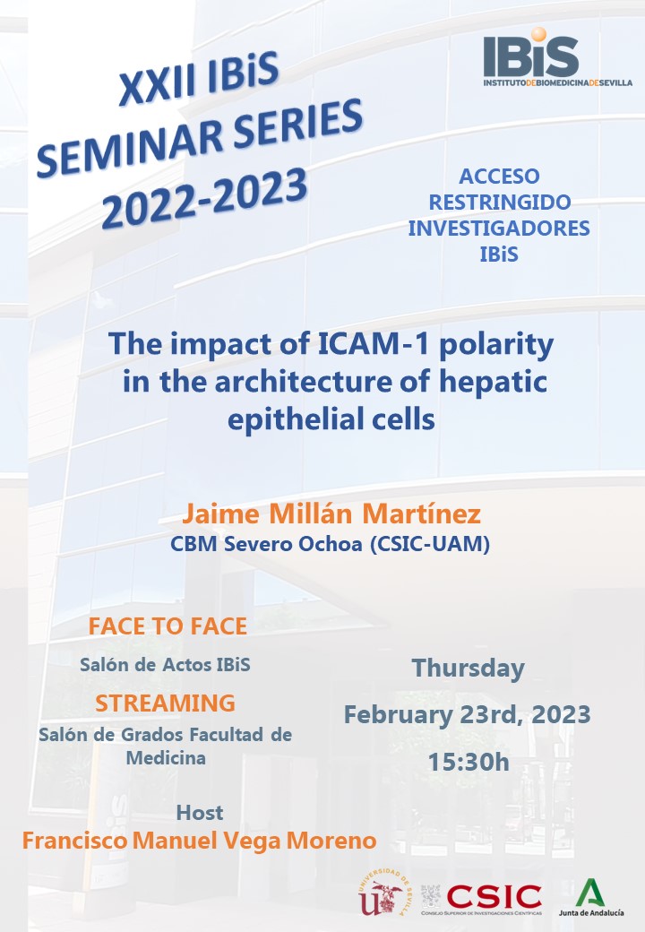 Poster: The impact of ICAM 1 polarity in the architecture of hepatic epithelial cells Jaime